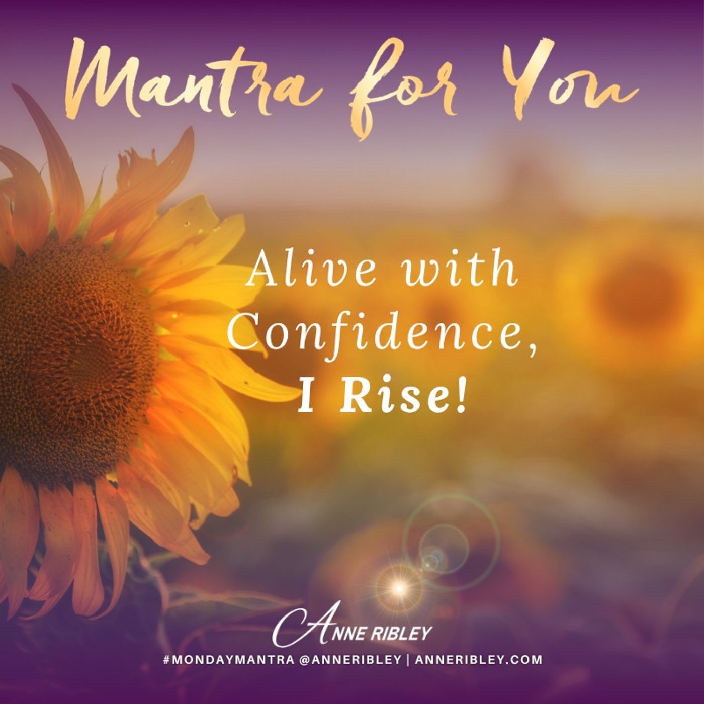 MONDAY MANTRA: Alive with Confidence, I Rise! episode artwork