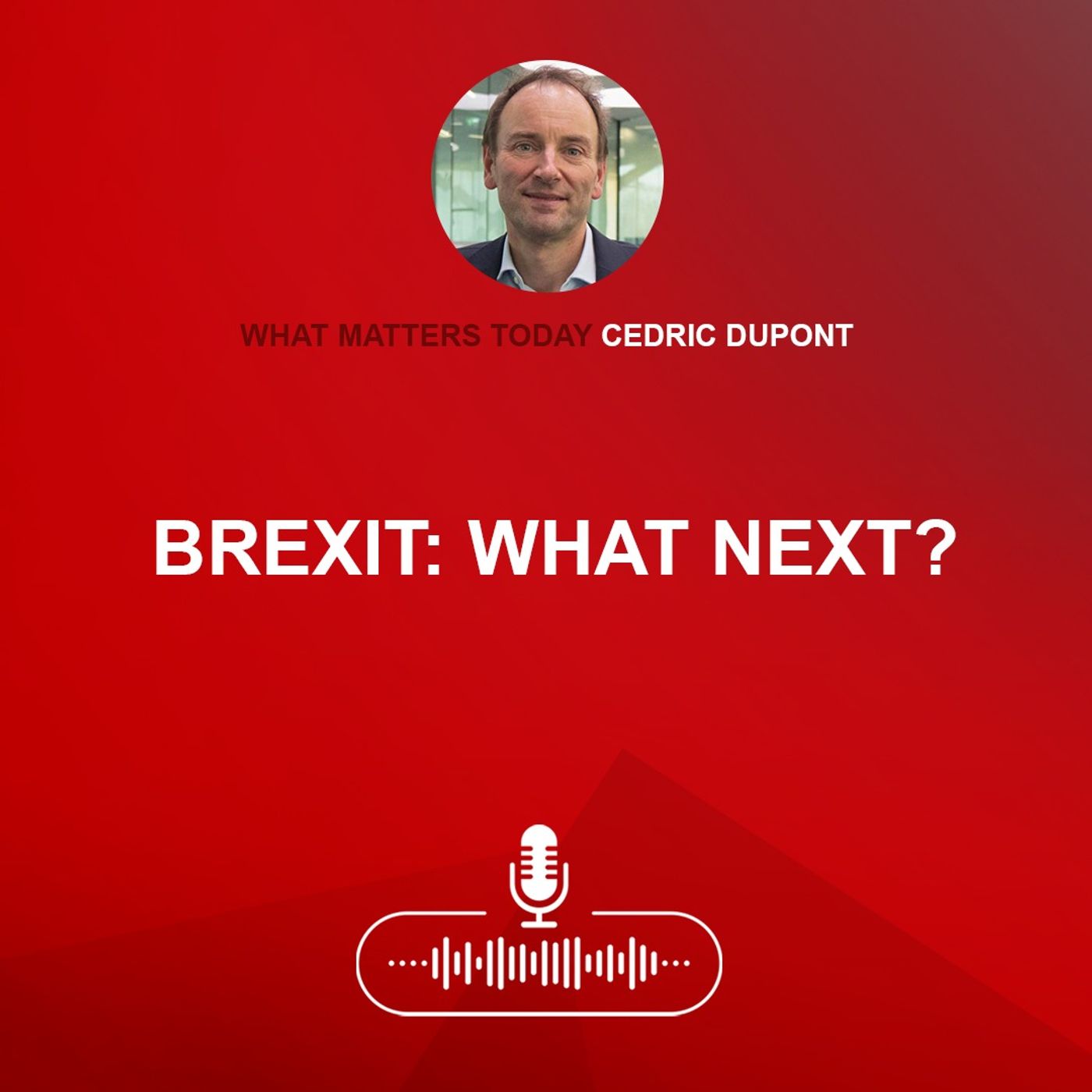 Brexit: What Next?