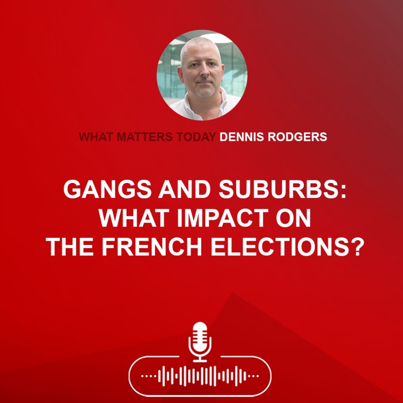 Gangs and Suburbs: What Impact on the French Elections?