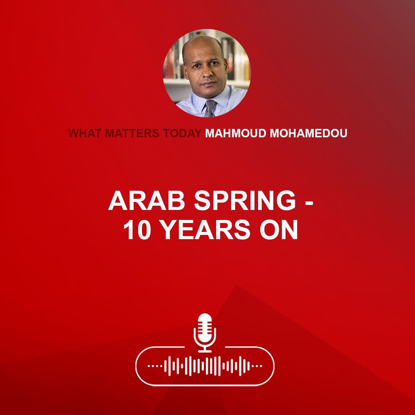 Arab Spring - 10 years on
