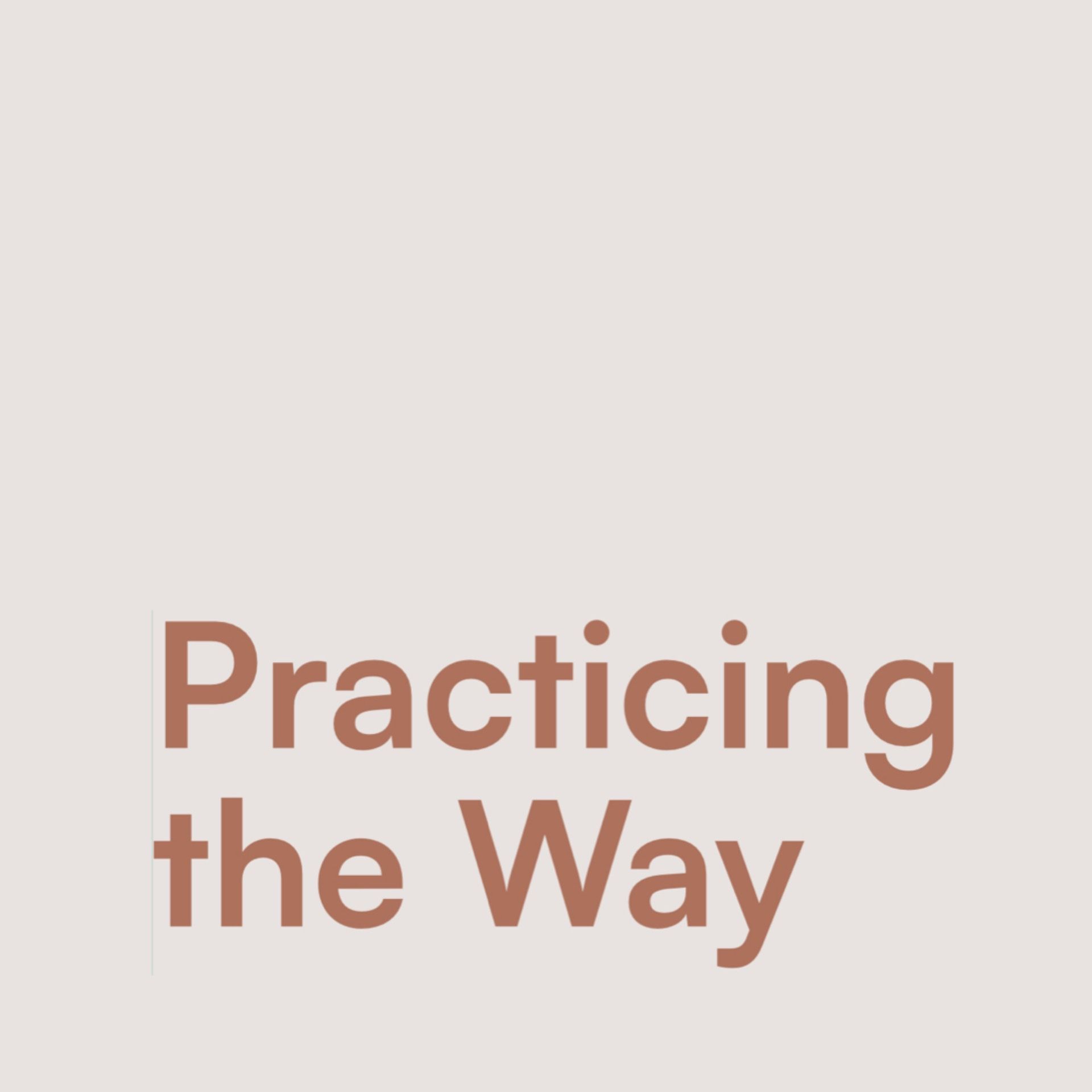 Practicing the Way - Apprentice to Jesus