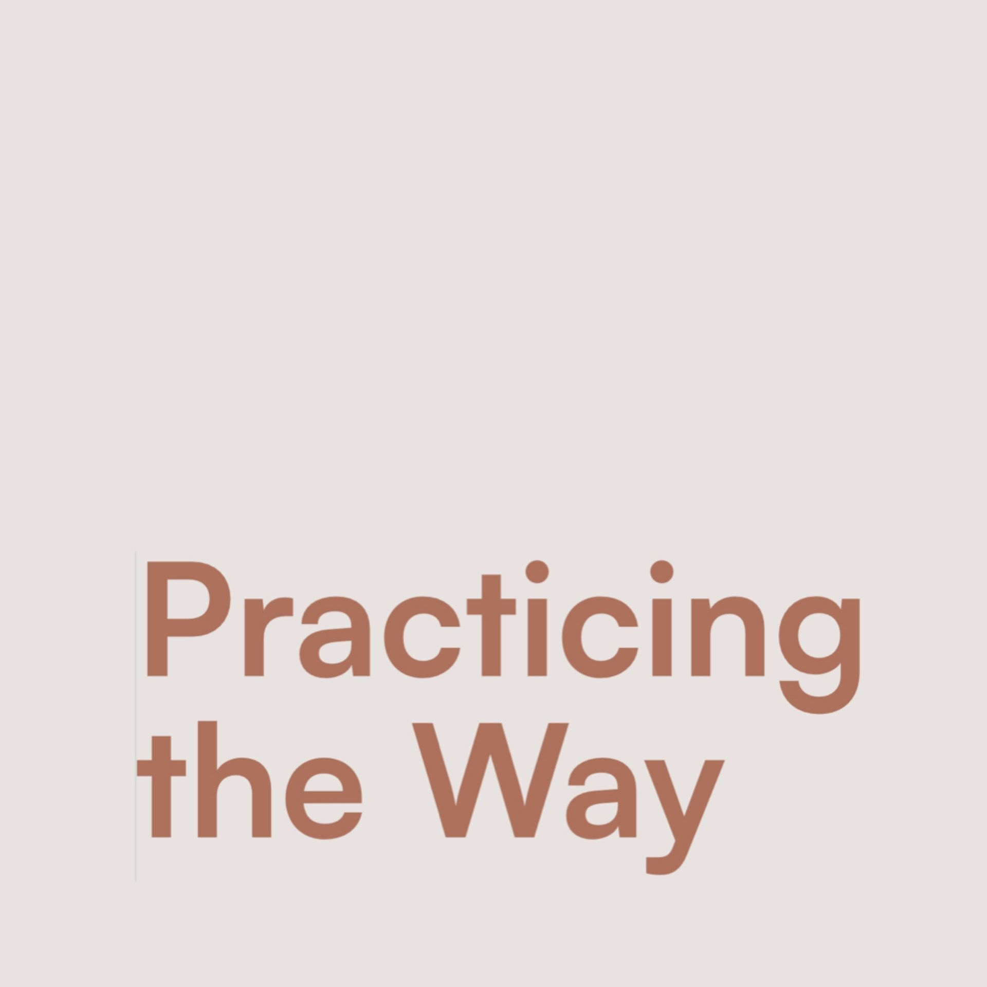 Practicing the Way - Goal #3: Do as He did
