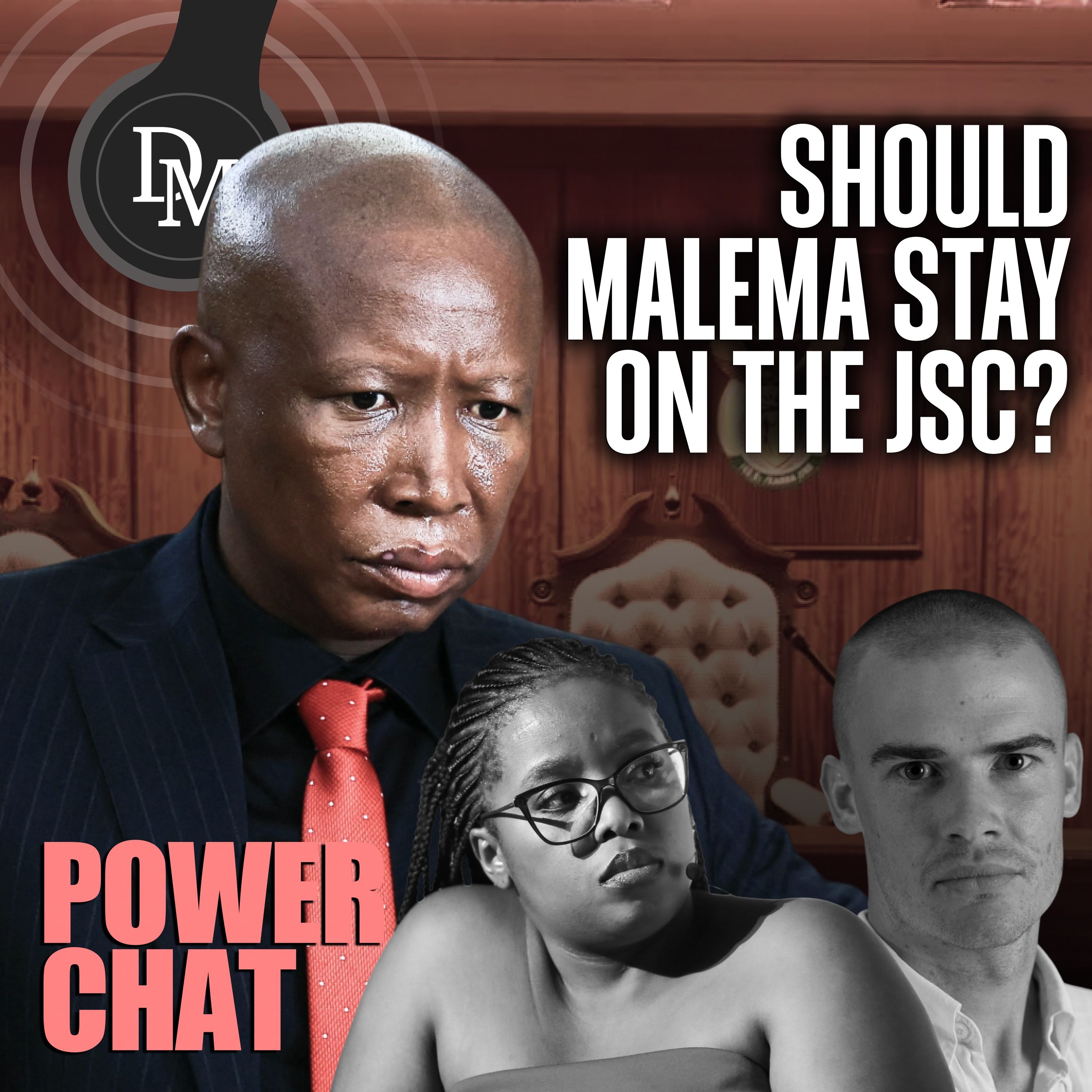 Julius Malema – Conviction, Sentencing, and the Battle for the JSC — Daily Maverick