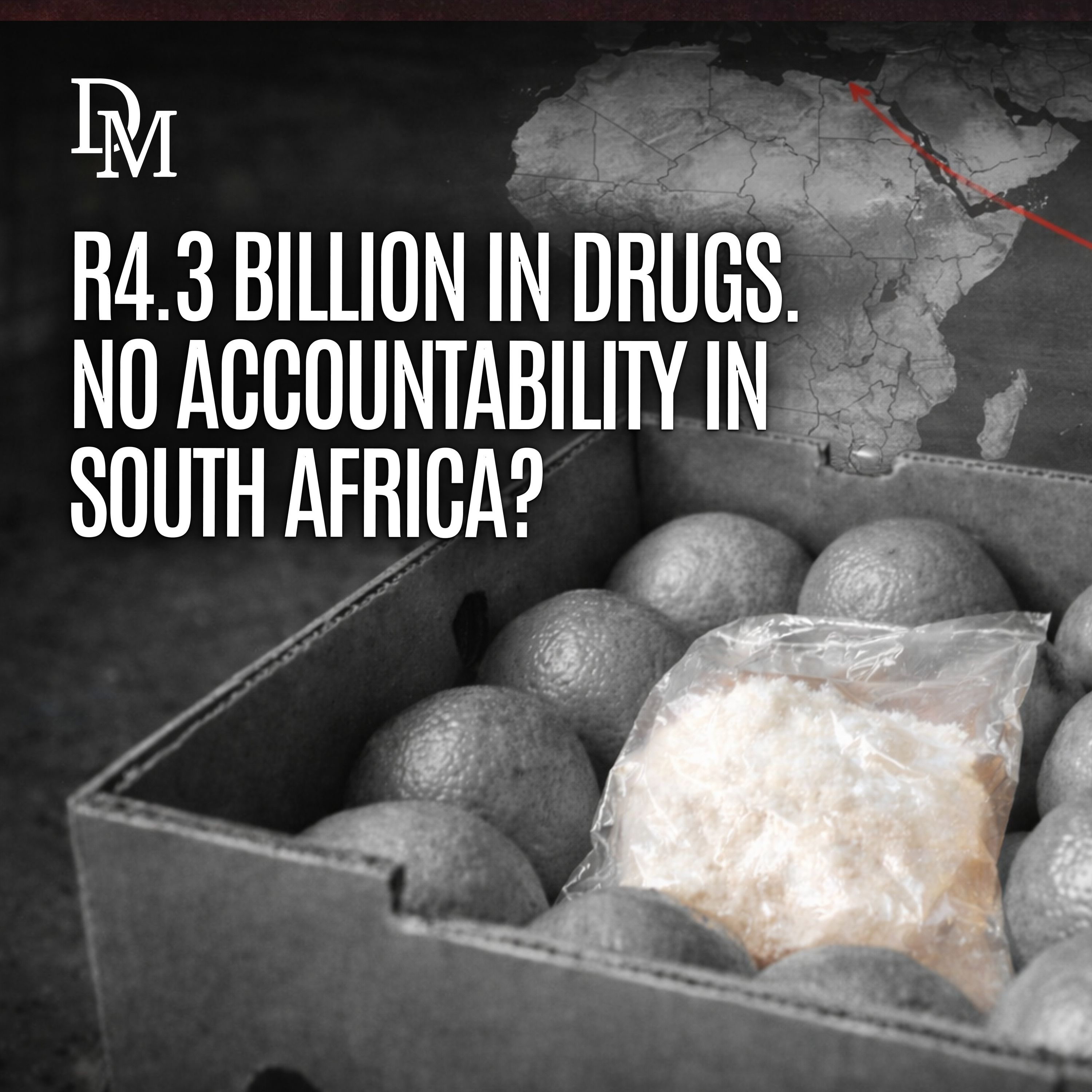Suspicions circle SA over R4.3-billion drugs hidden in fruit export to India