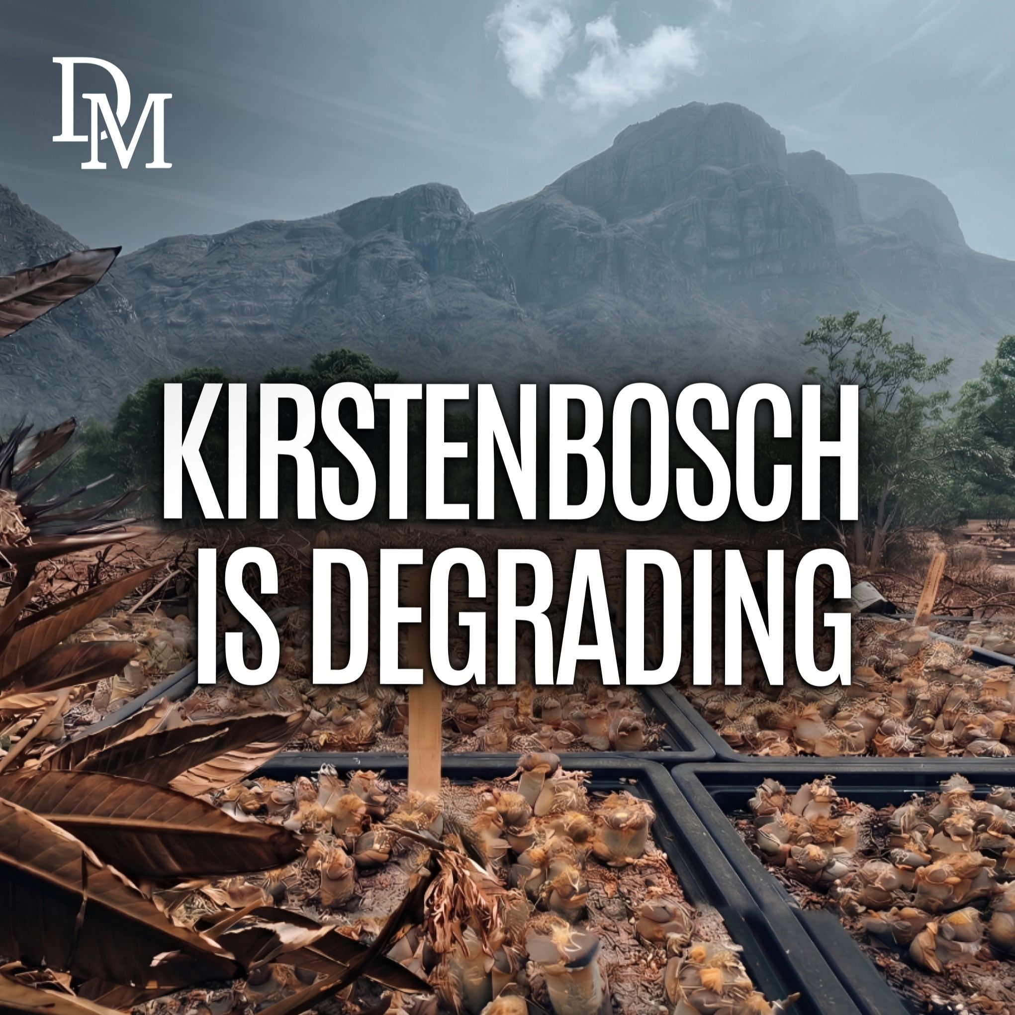 Is Kirstenbosch Dying From the Inside? episode artwork