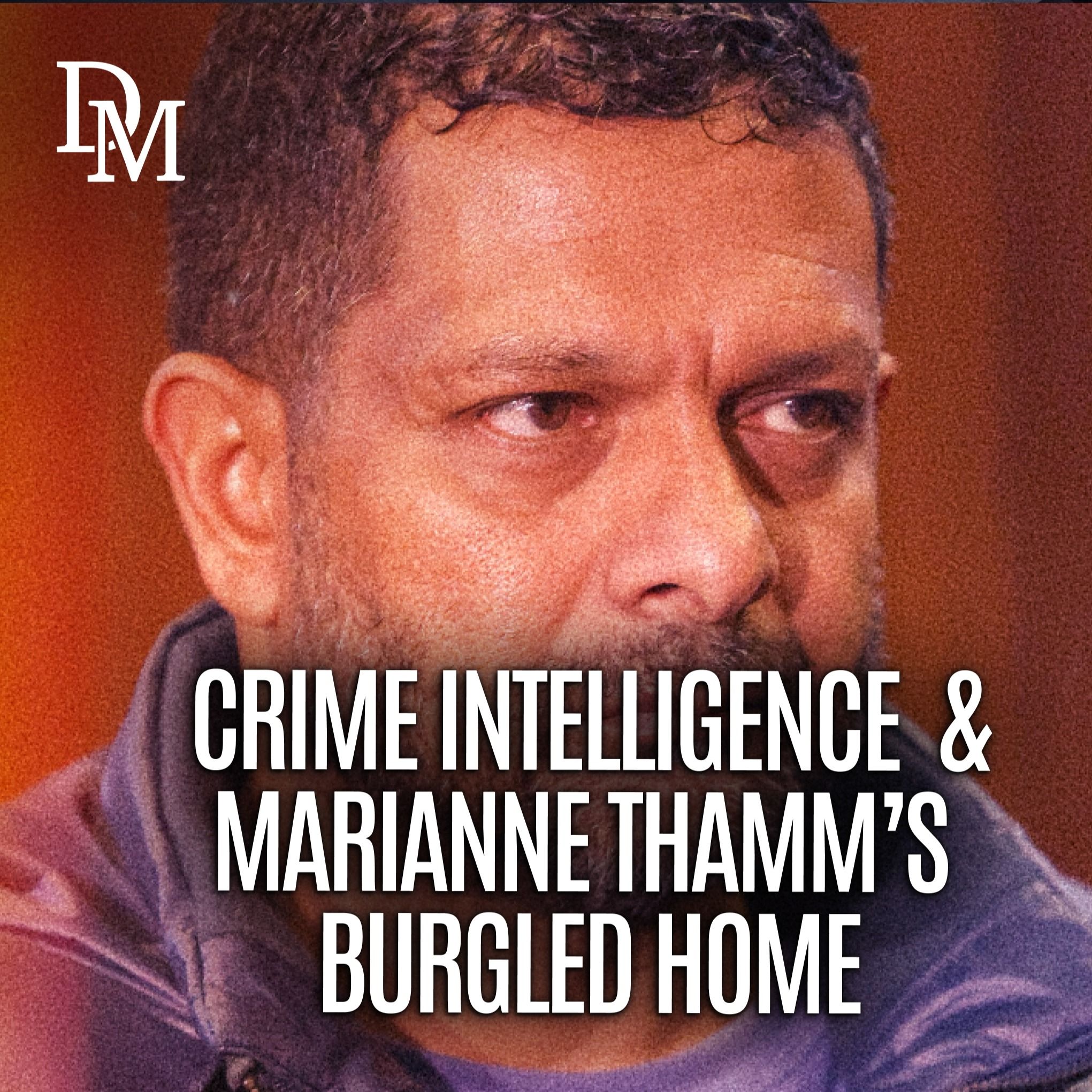 Did SAPS Crime Intelligence burgle Marianne Thamm's home? episode artwork