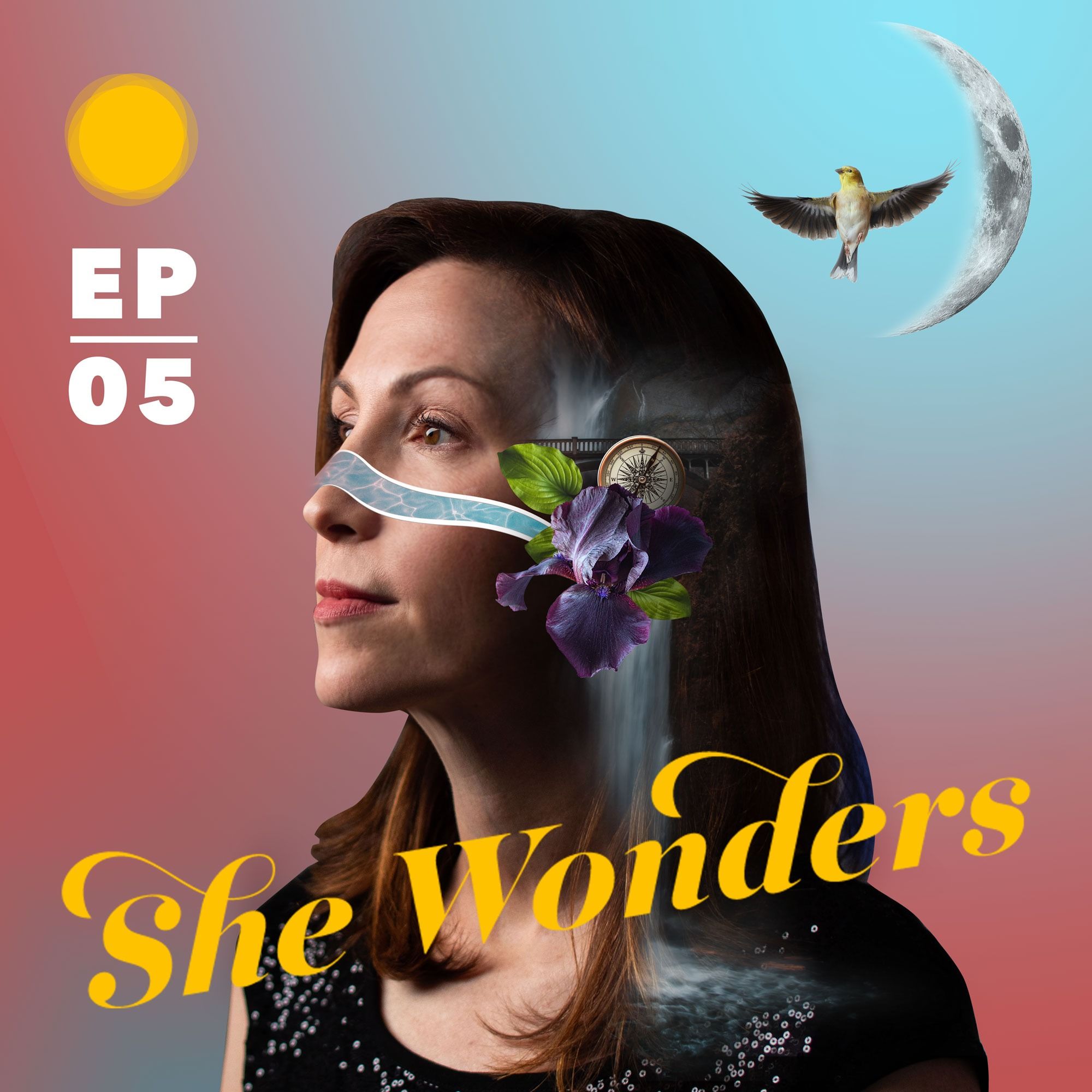 Season 2: Embracing Uncertainty