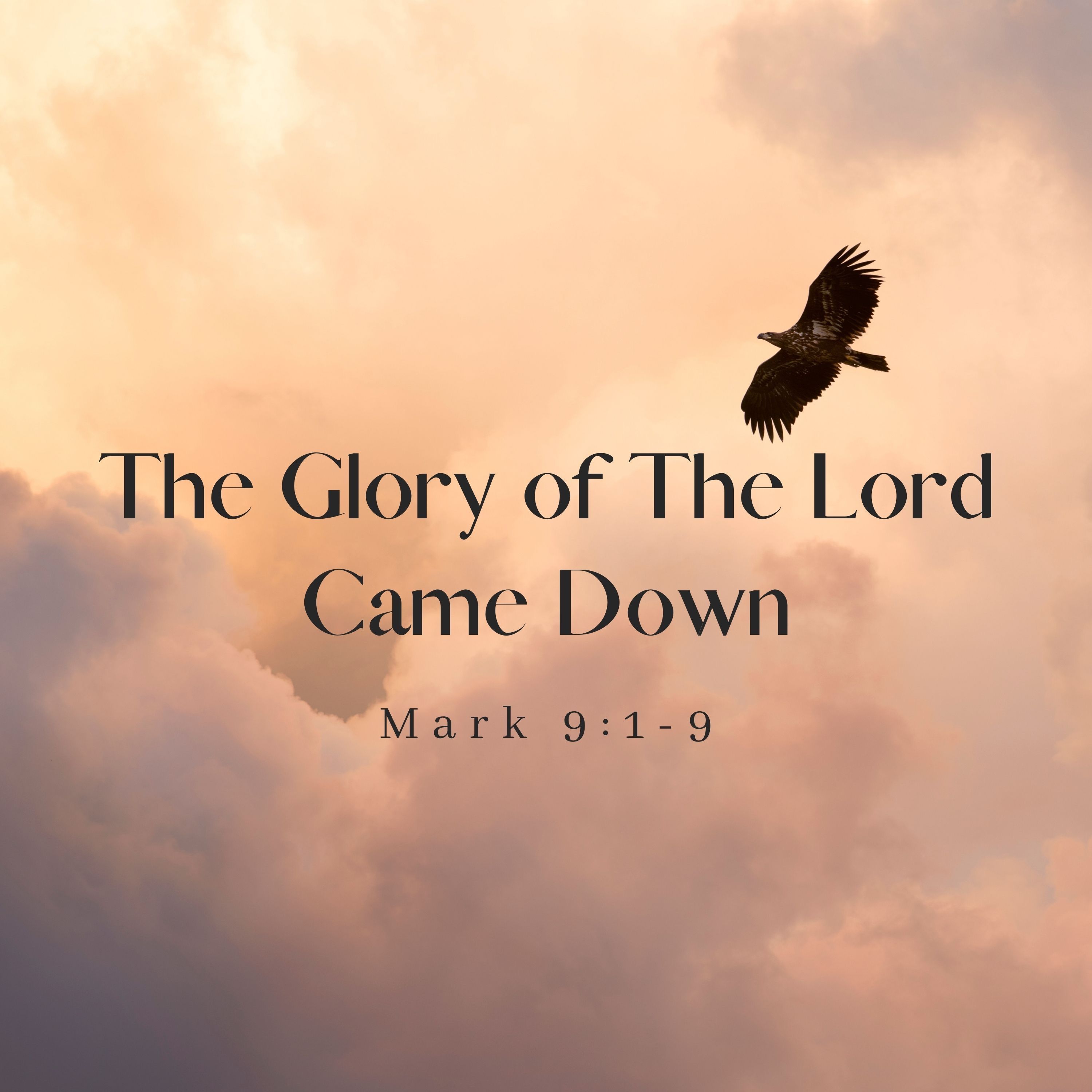The Glory Of The Lord Came Down (Gassaway, WV)