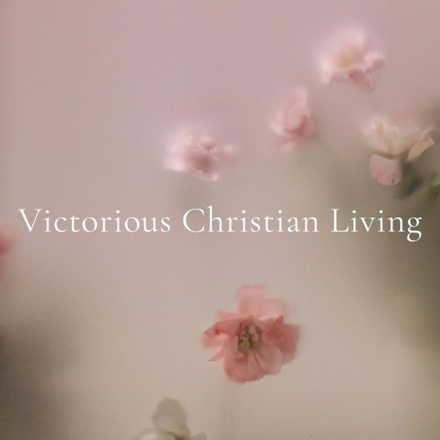 Victorious Christian Living (Pfafftown, NC)