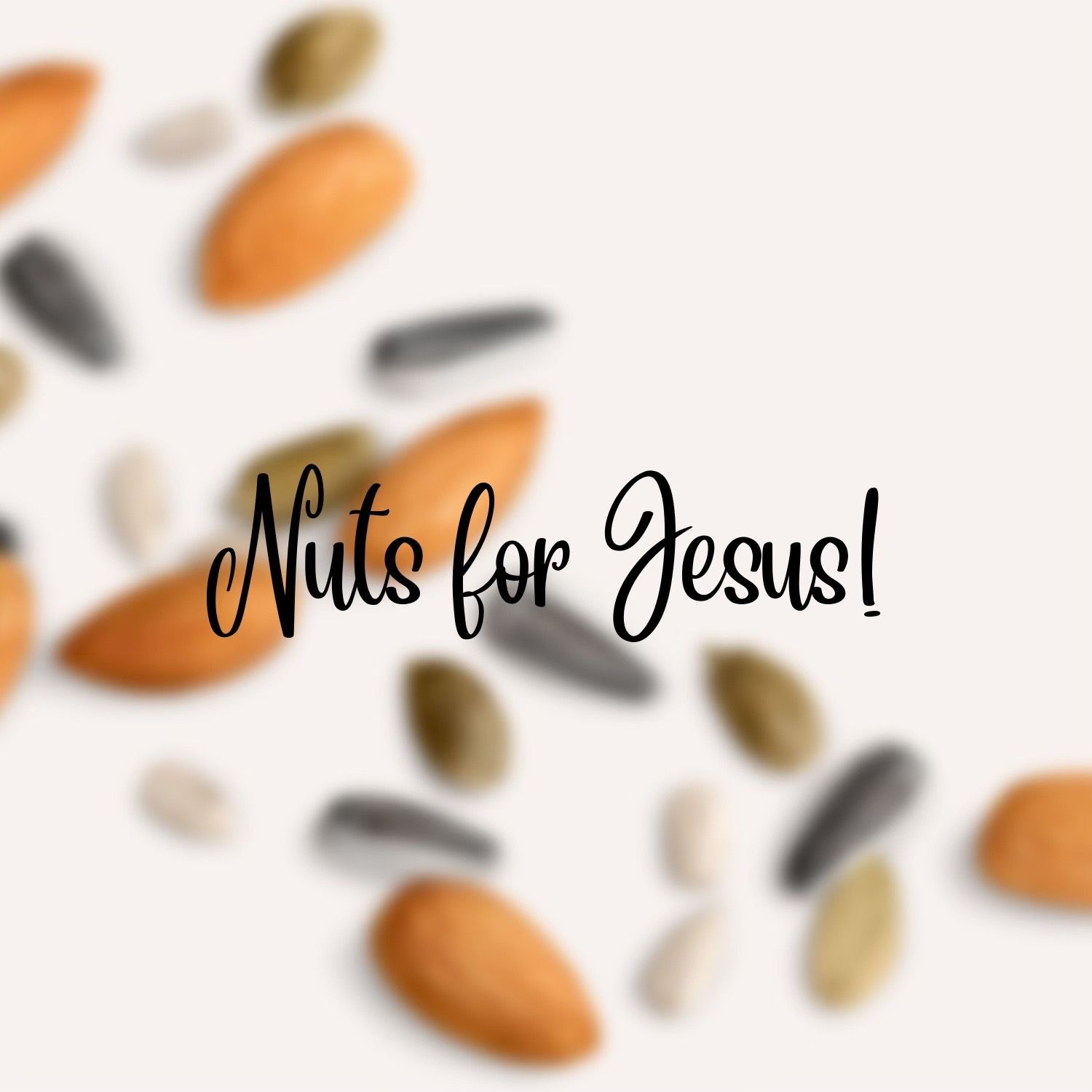 Nuts For Jesus (Gassaway, WV)