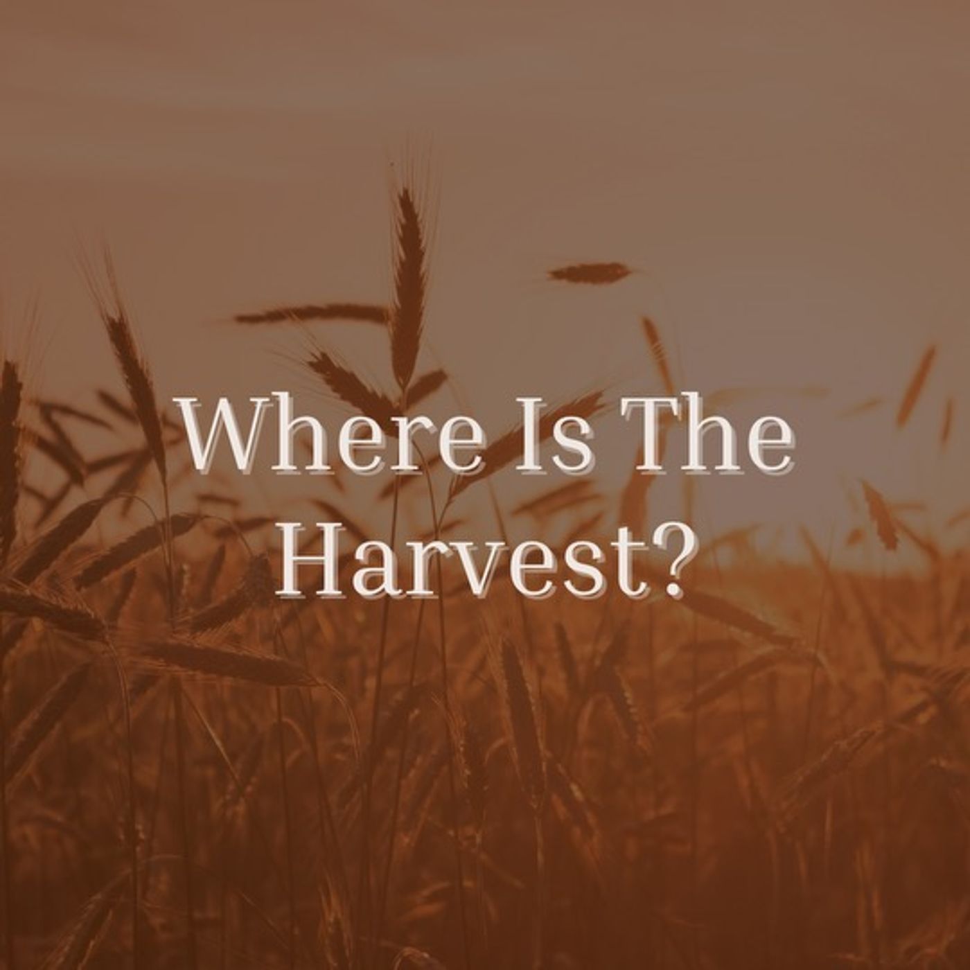 Where Is The Harvest (Gassaway, WV)