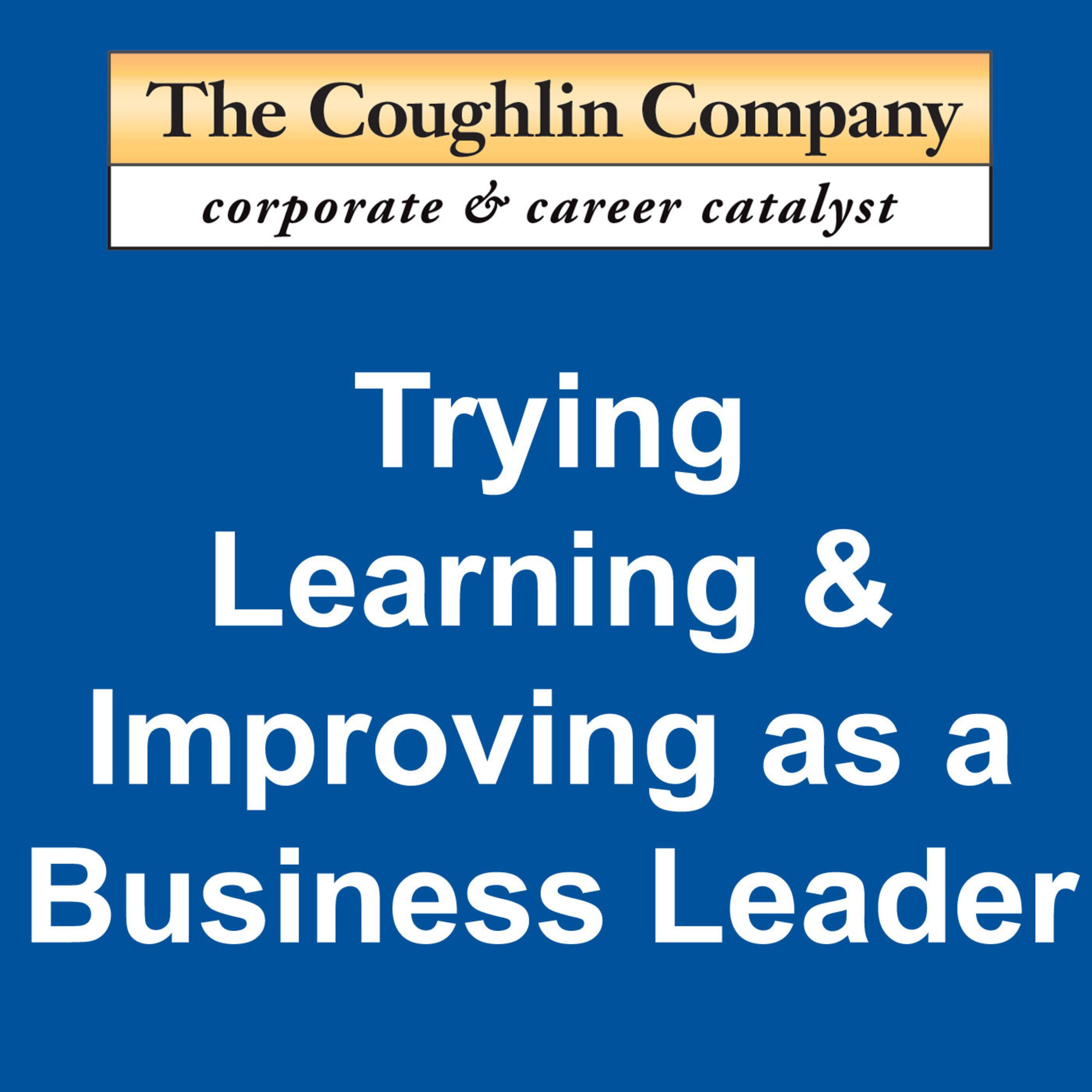 Trying, Learning, & Improving as a Business Leader podcast artwork