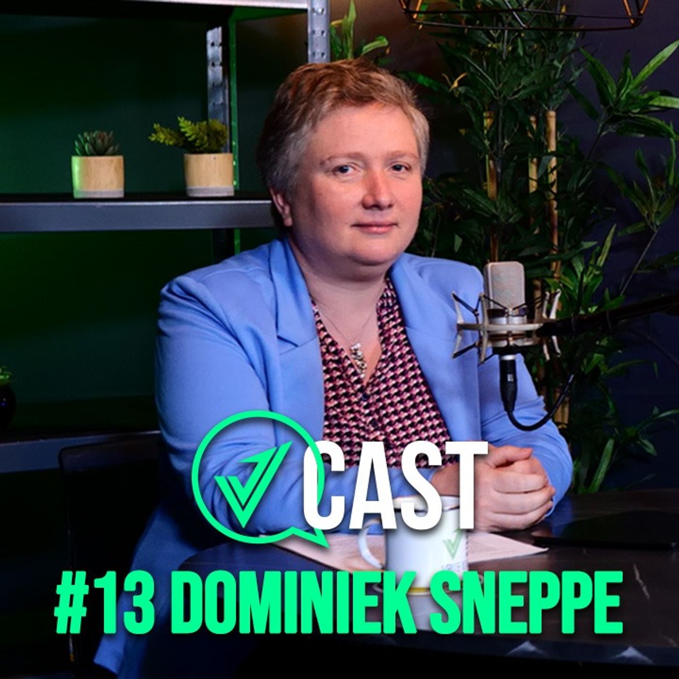 V-CAST