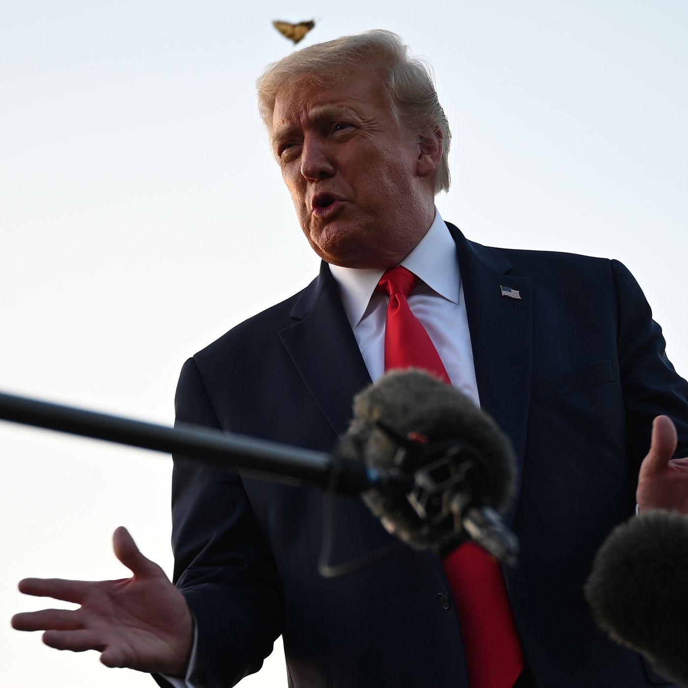 Buenos Días América