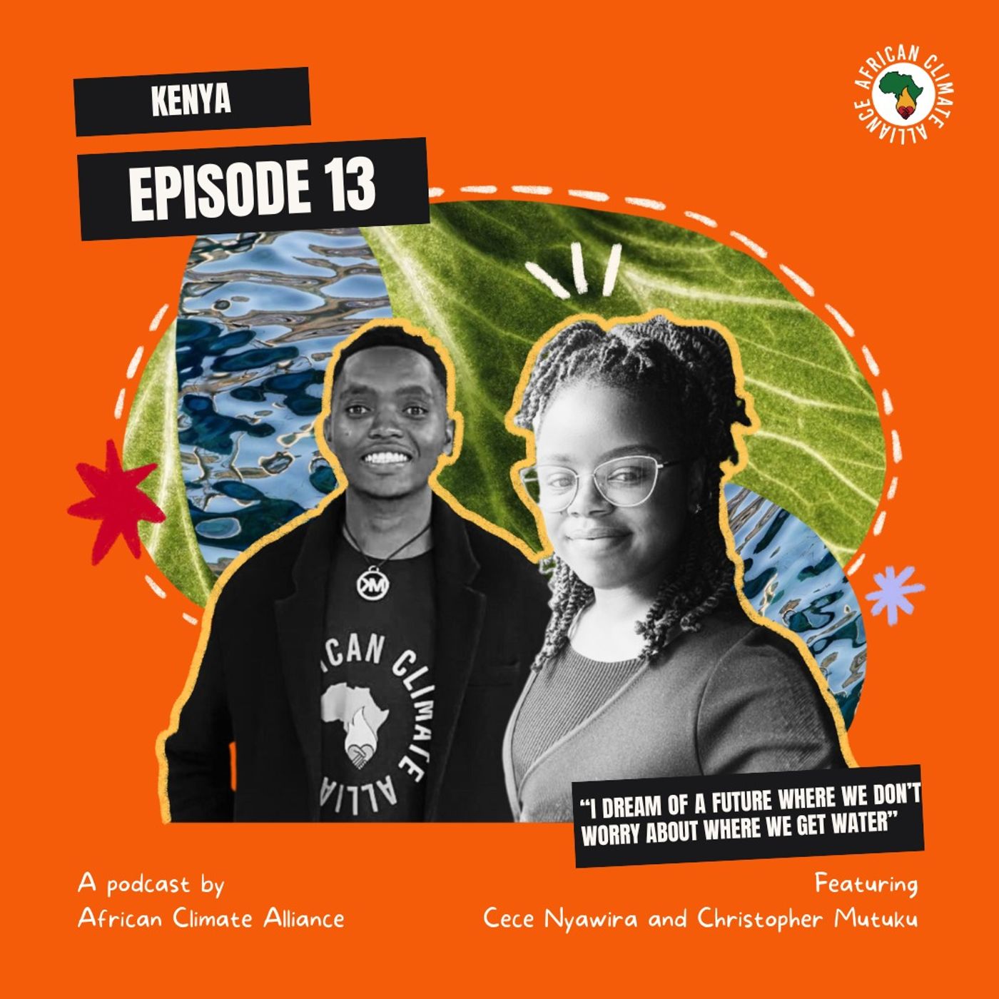 Turning Stories into Solutions: Youth, Elephants, and Climate