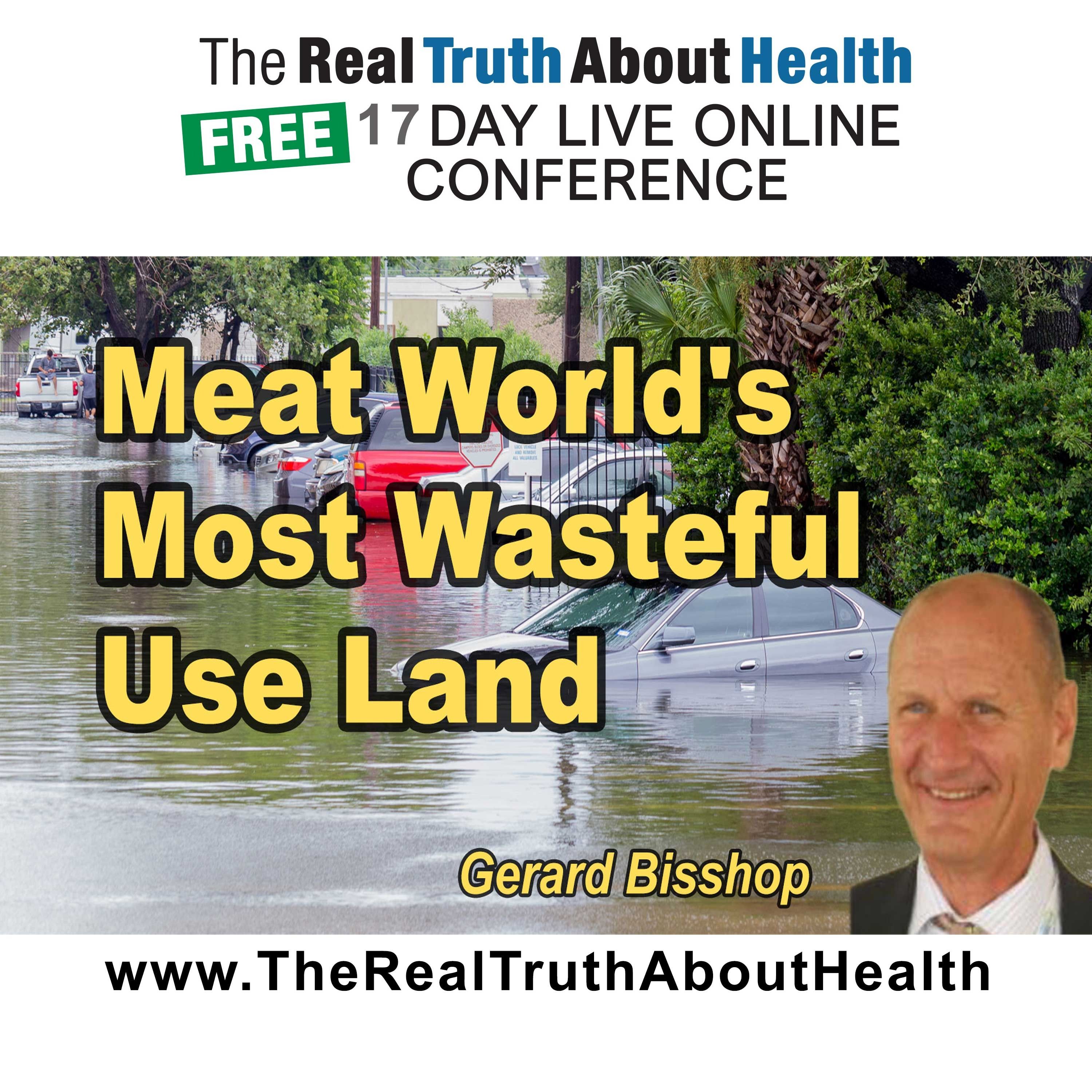 Why Meat Is the World's Most Wasteful Use of Land and Water