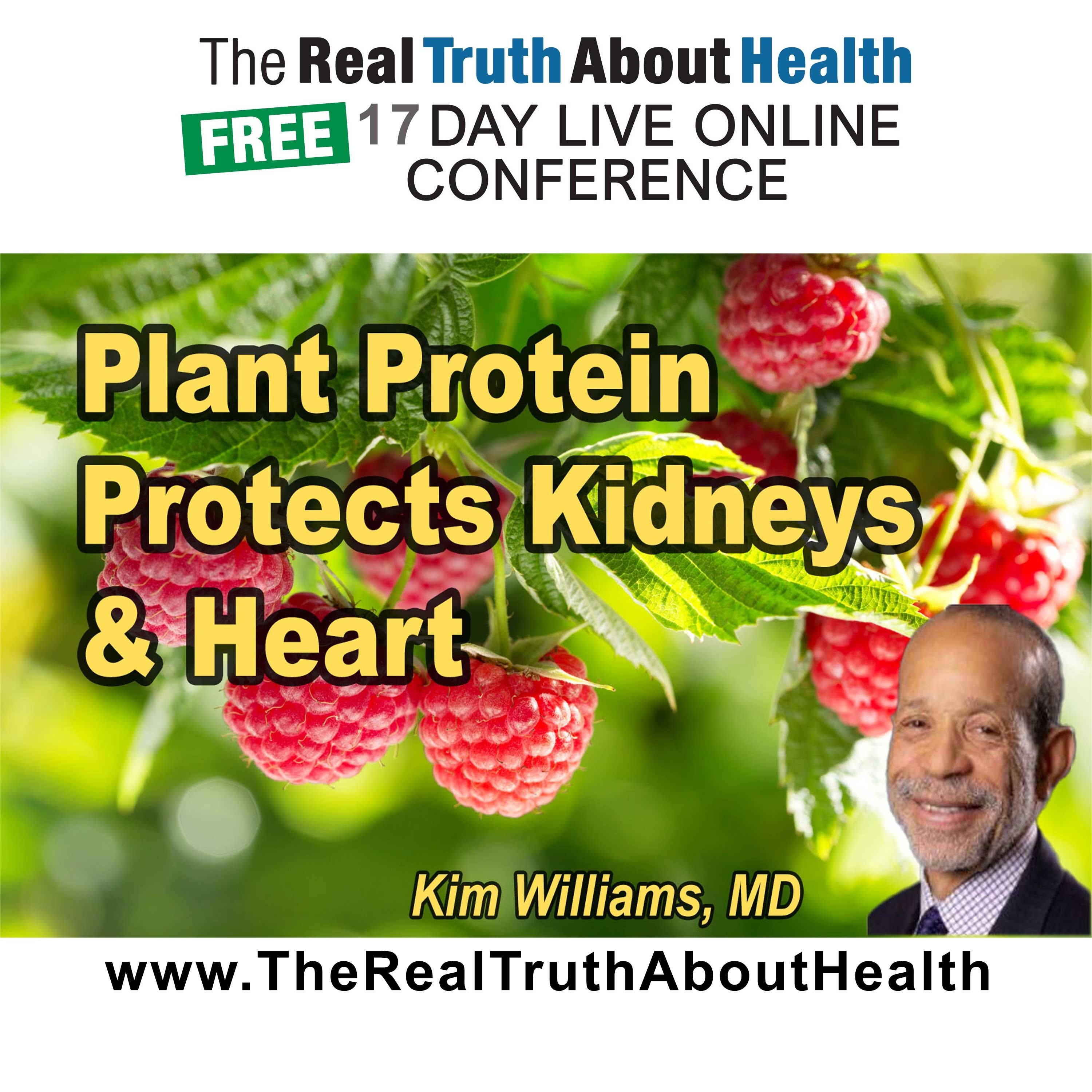 Plant Protein Protects the Kidneys and Heart