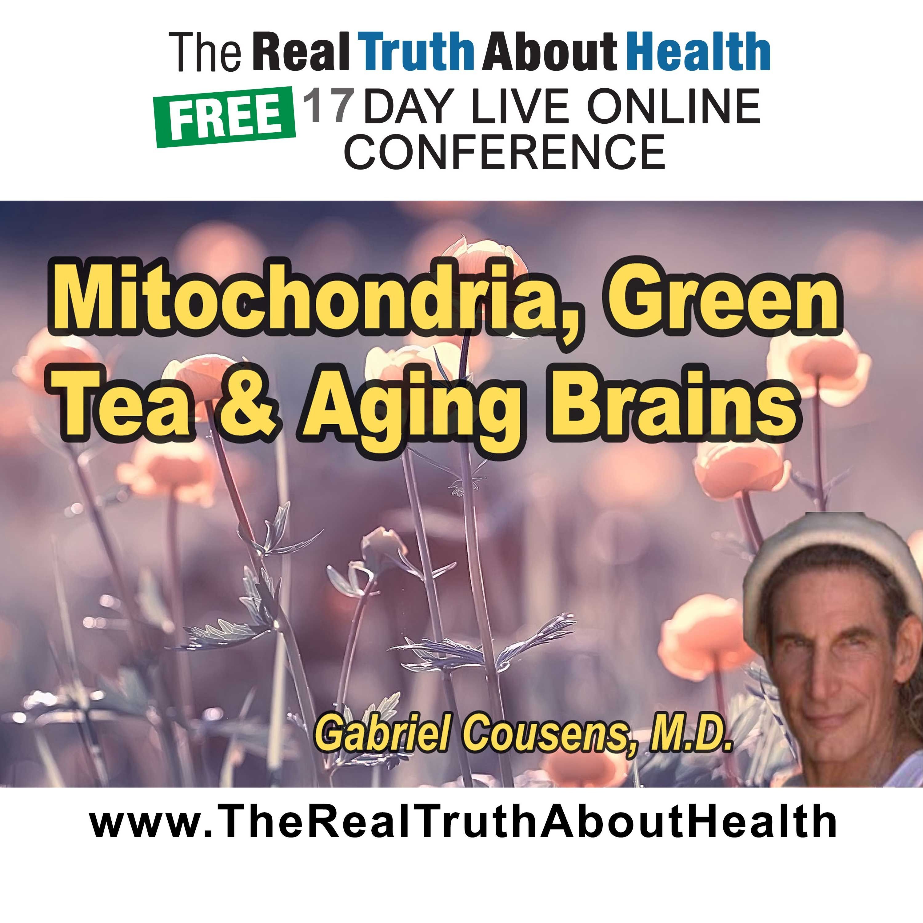 Mitochondria, Green Tea, and Aging Brains