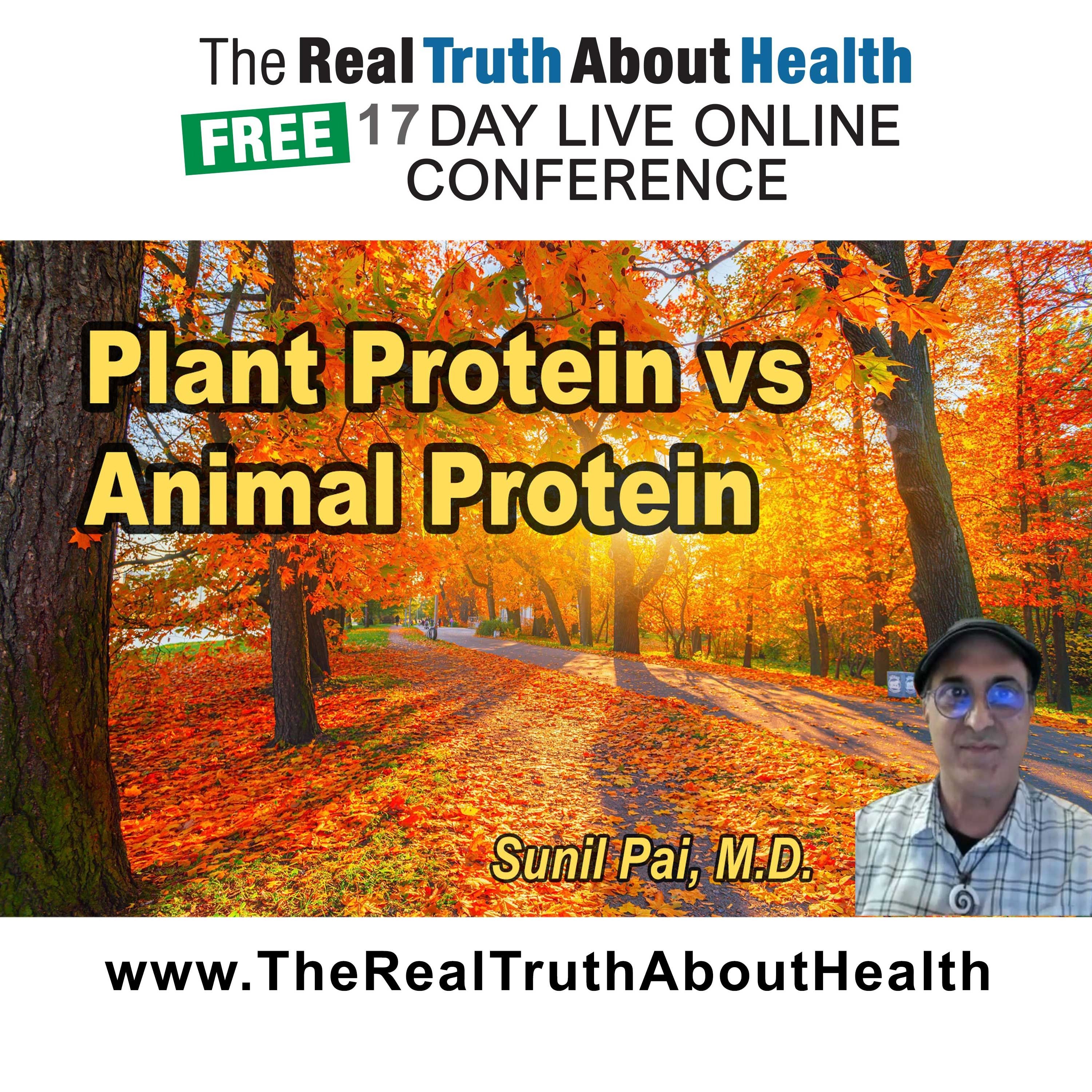Plant Protein vs Animal Protein: Nutrient Density and Safety episode artwork