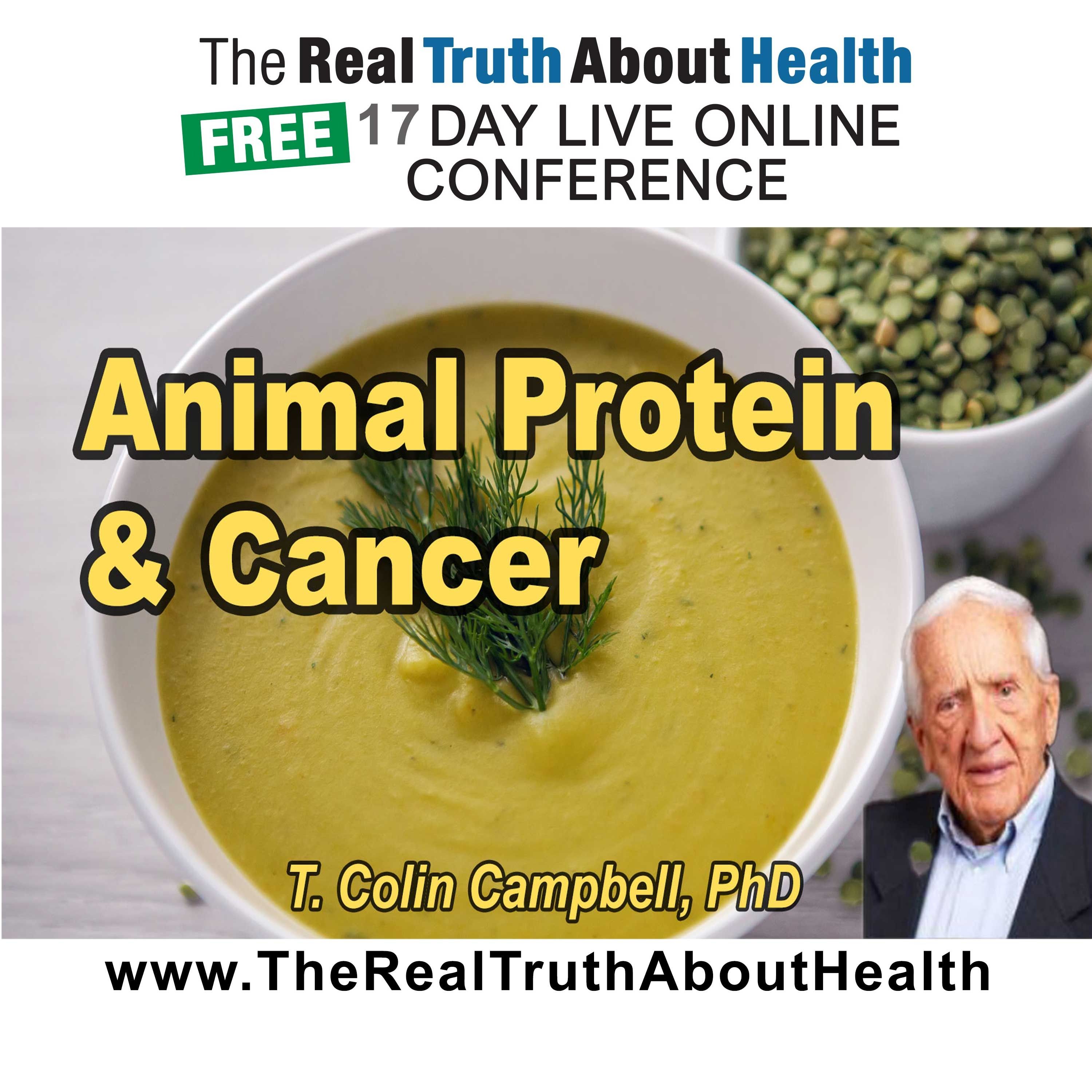 How Animal Protein Turns Cancer On and Off