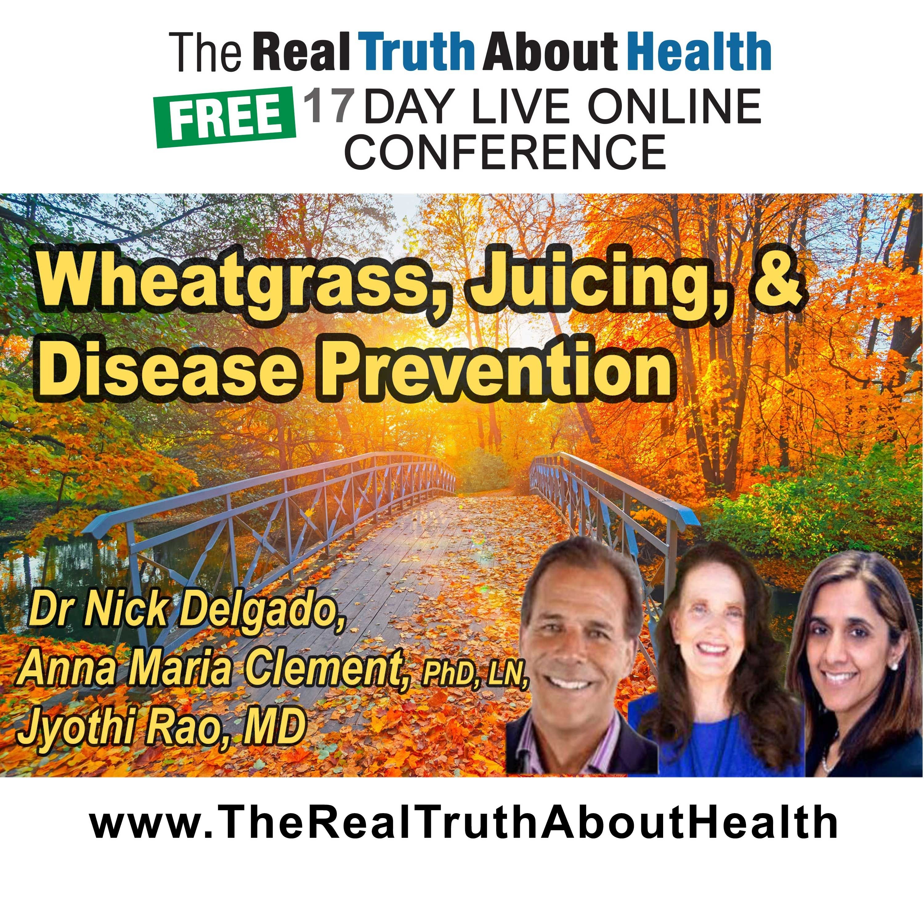 The Real Truth About Health Free 17 Day Live Online Conference Podcast