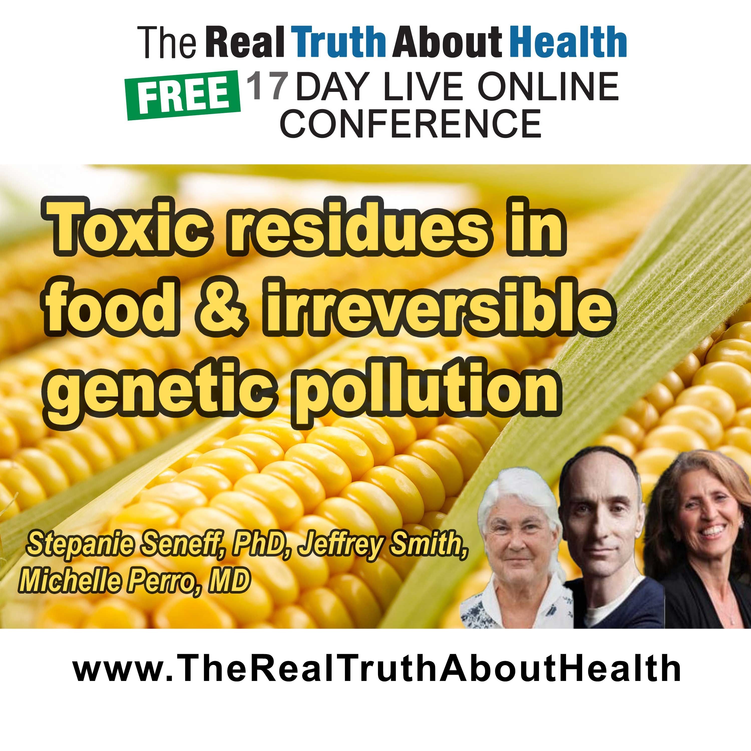 Toxic residues in food and irreversible genetic pollution