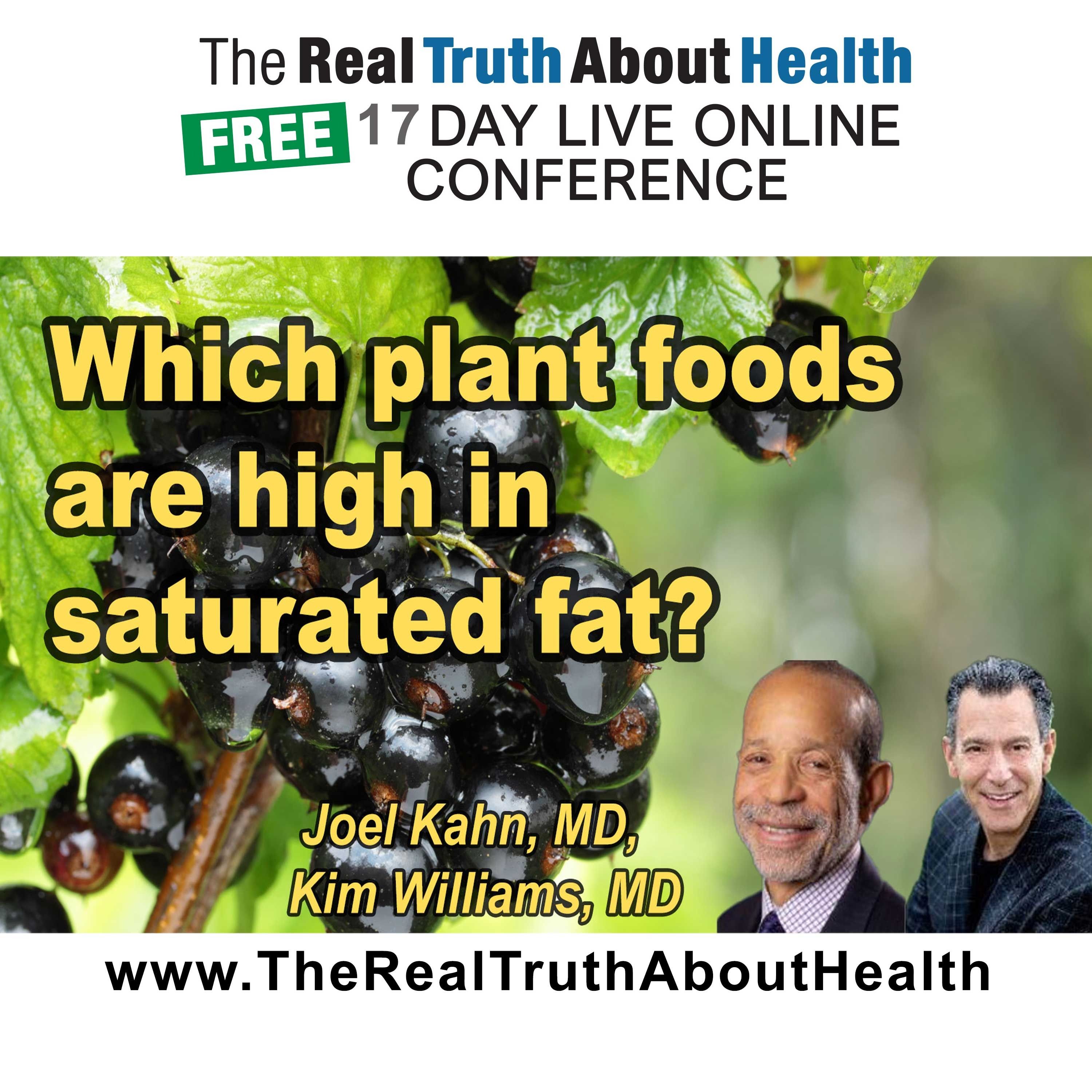 Which plant foods are high in saturated fat?