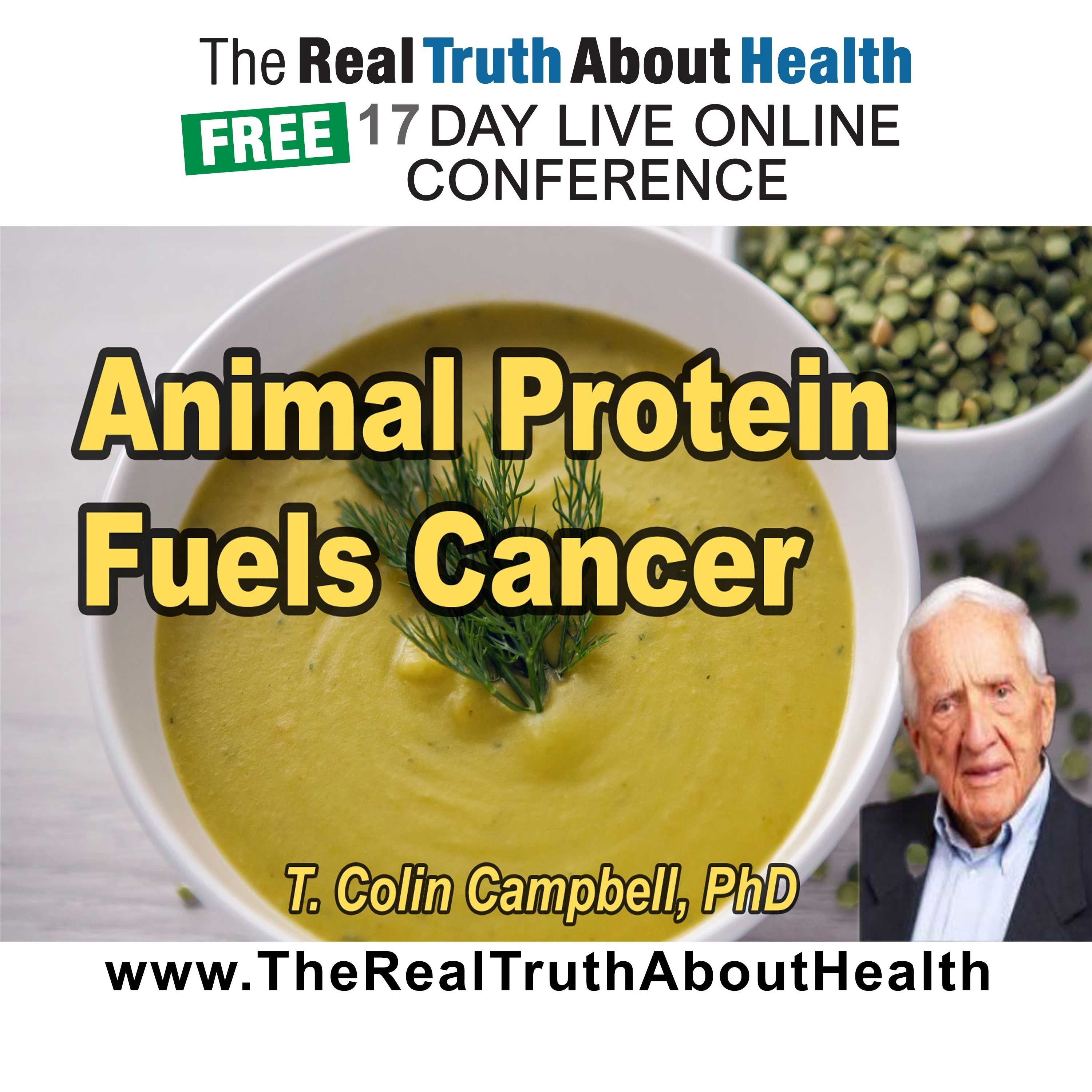 Why Animal Protein Fuels Cancer—and Plants Don’t