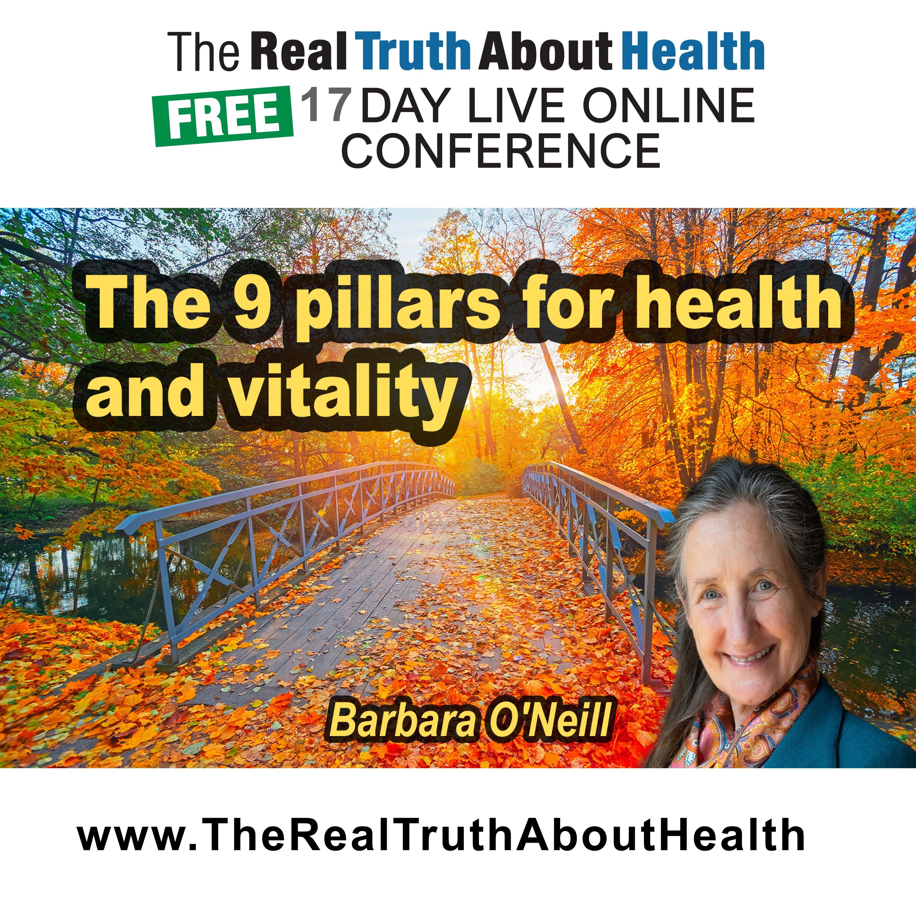 The 9 pillars for health and vitality