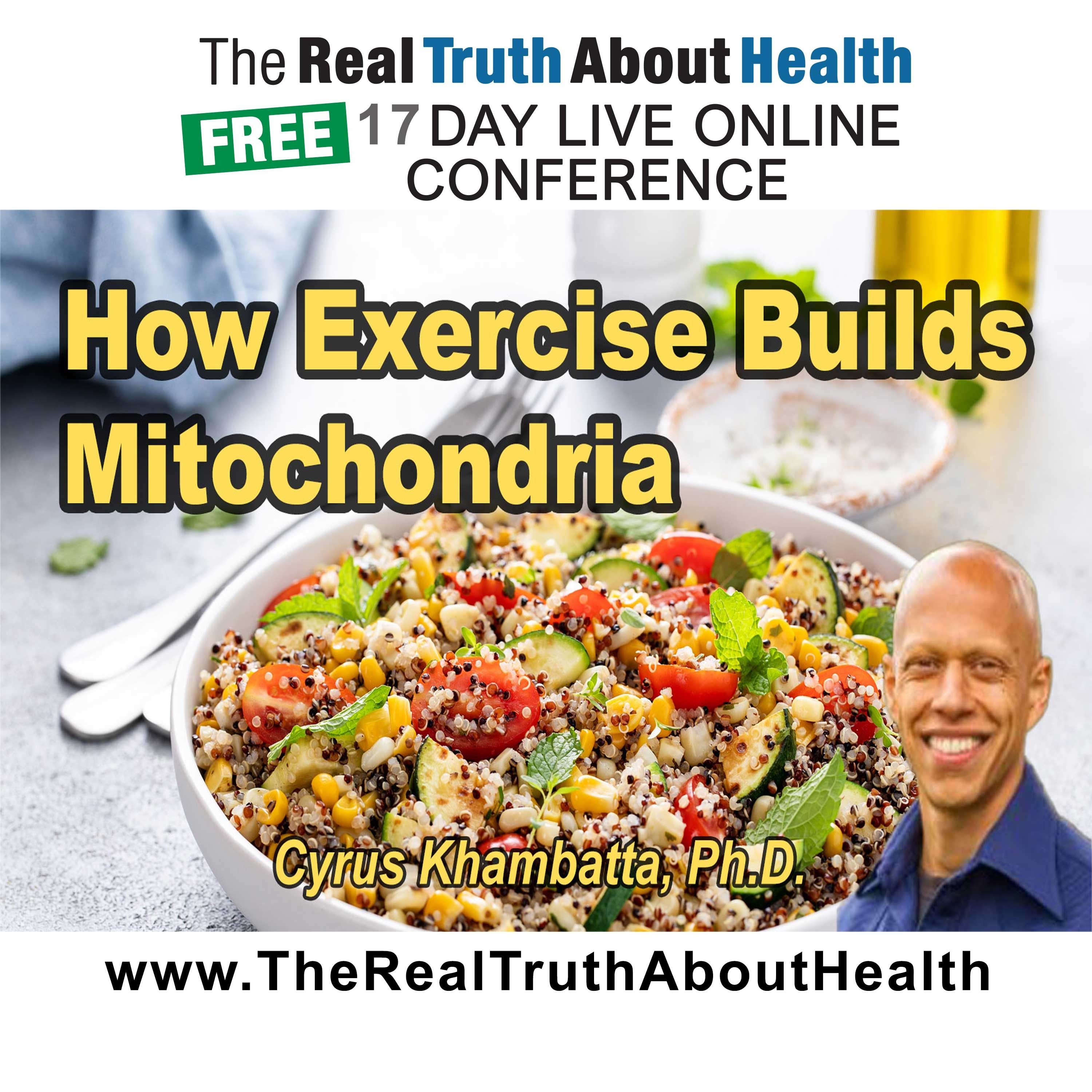 Train Your Cells: How Exercise Builds Mitochondria