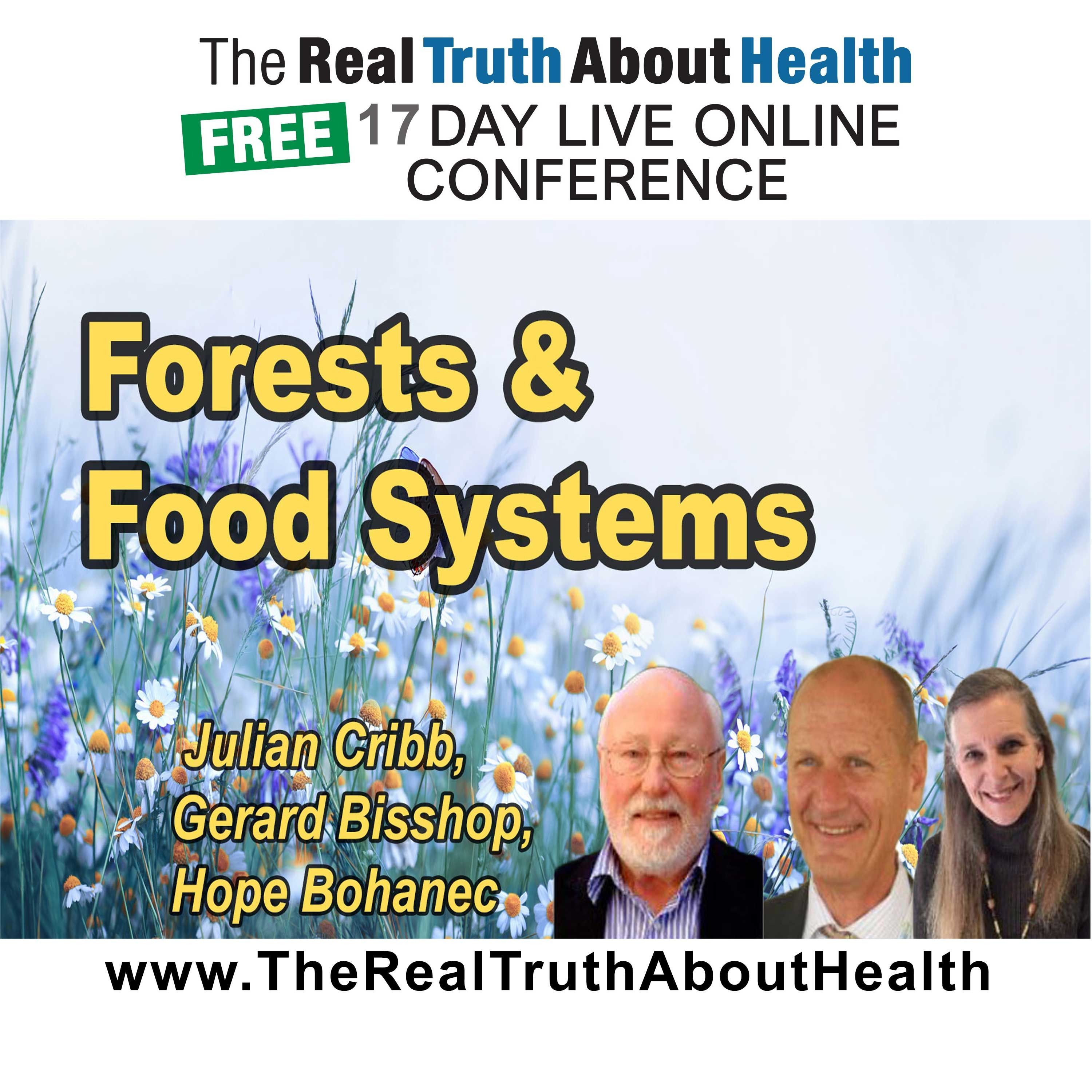 Forests, Food Systems, and Carbon Drawdown Solutions