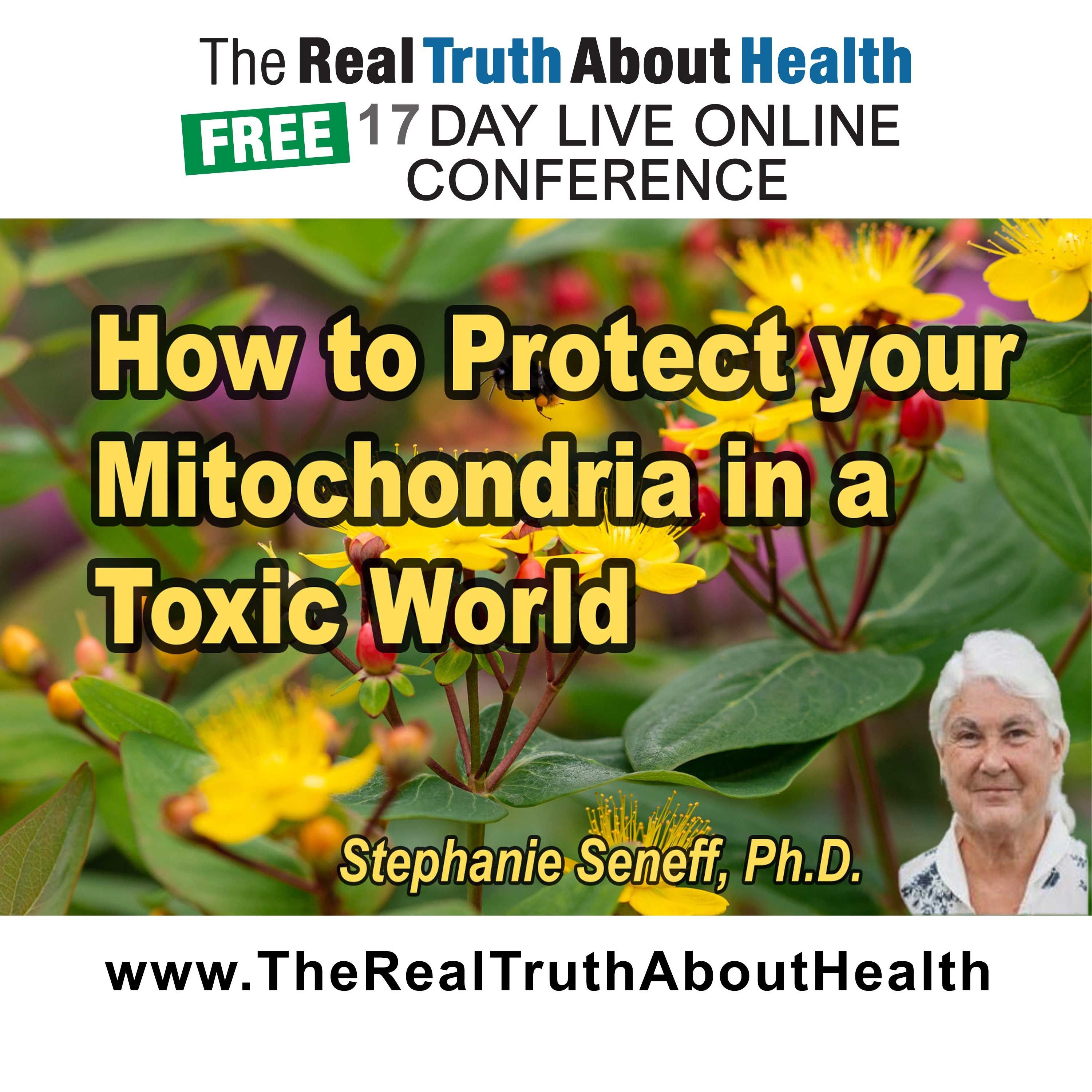 How to protect your mitochondria in a toxic world episode artwork