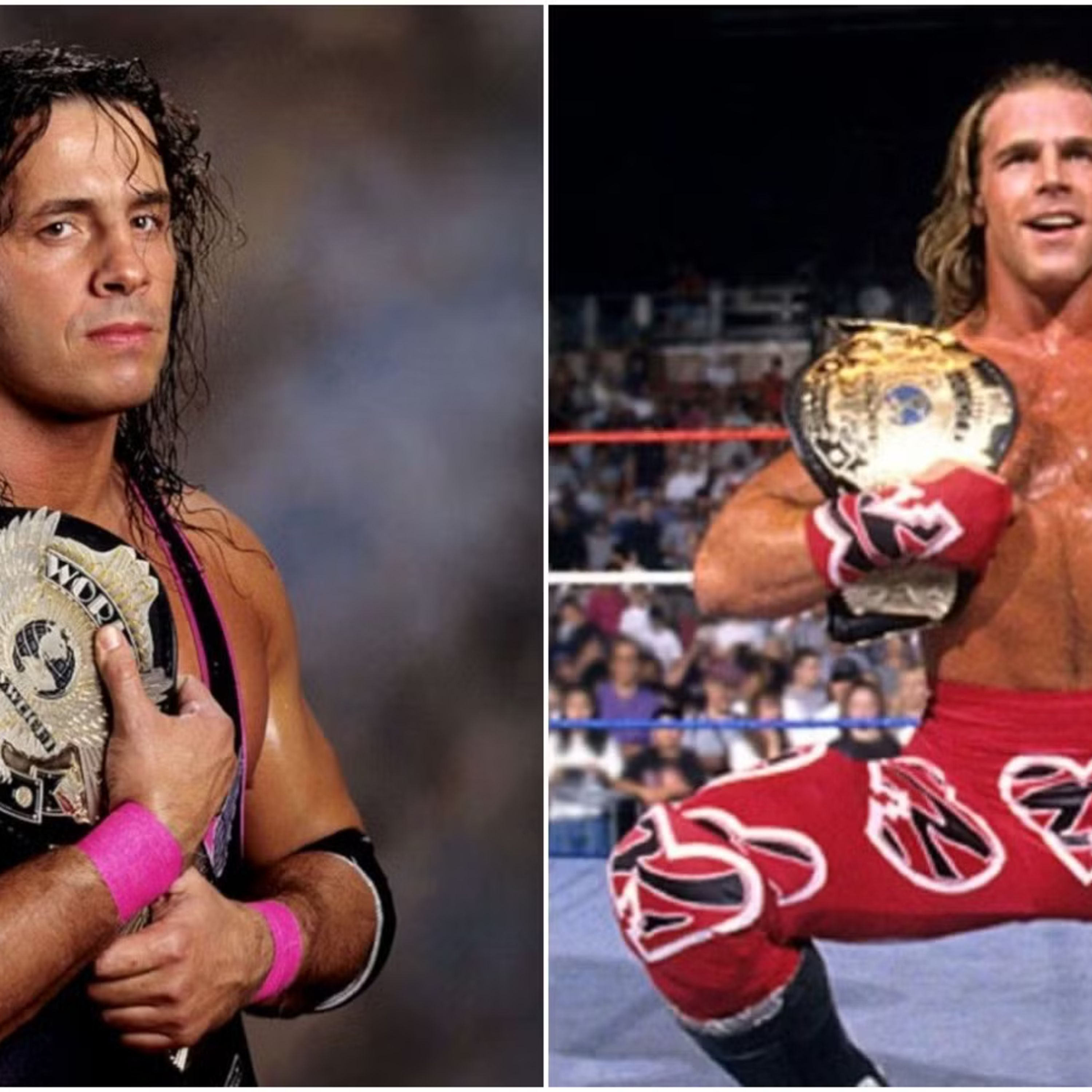 Difference between a Pro Wrestler and an In-Ring Performer! episode artwork