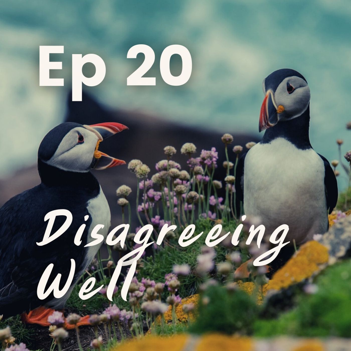 Disagreeing Well