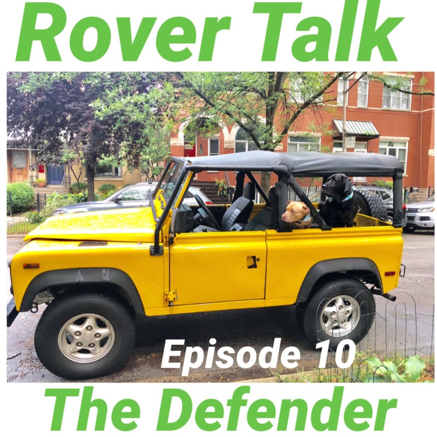 The Defender episode artwork