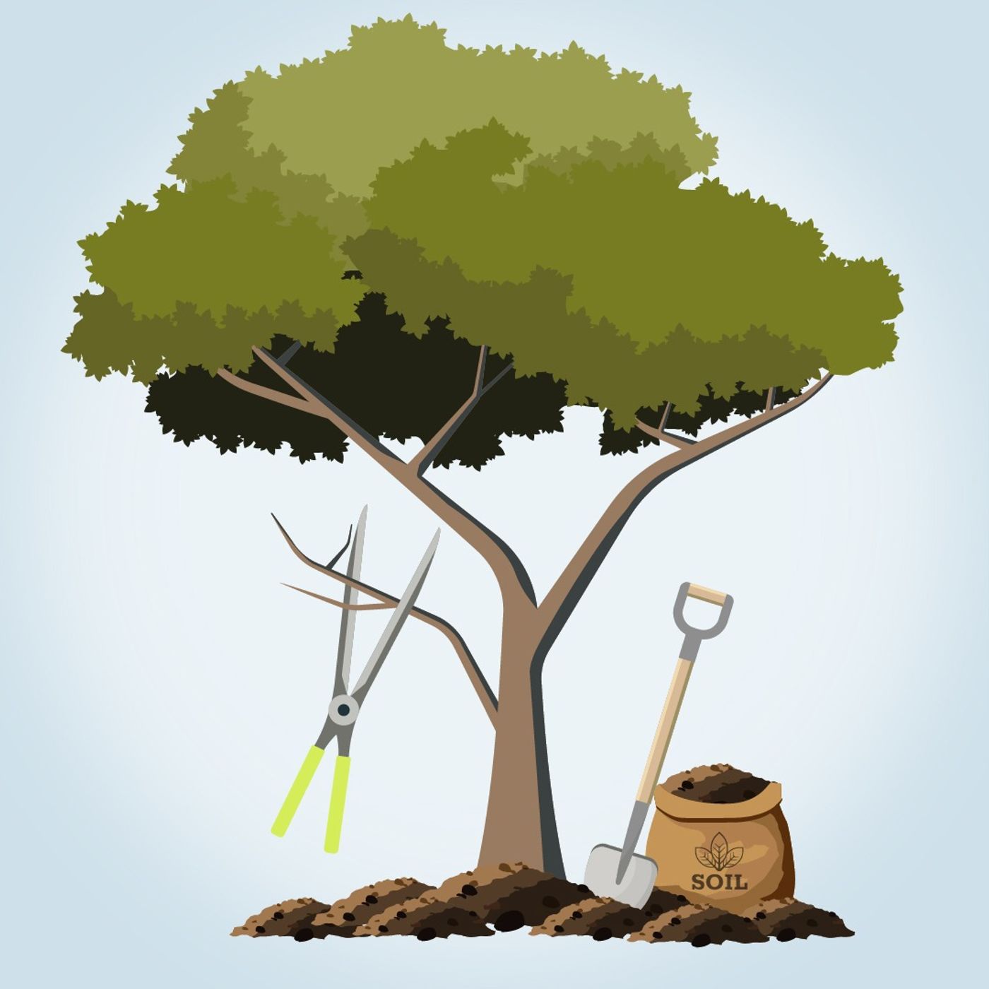 From insurgency to opportunity: how reforestation is building a better life in Alebelebe episode artwork