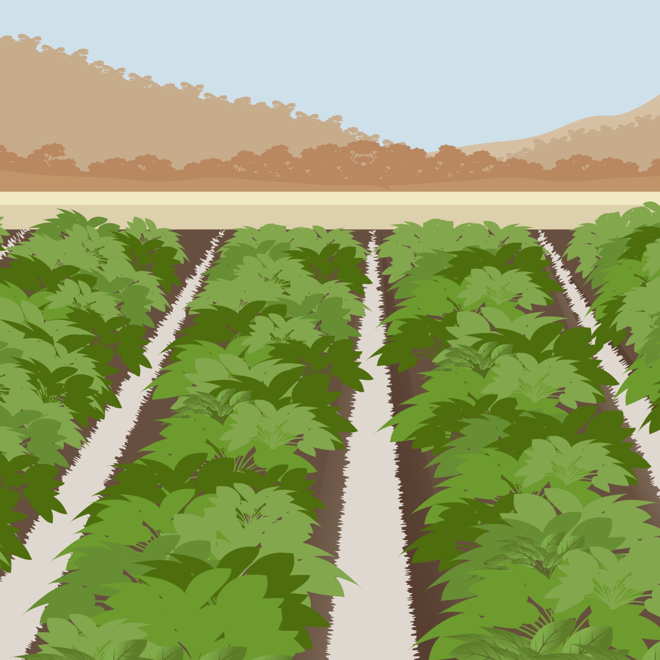 From skepticism to sustainability: rebuilding a climate-ready community episode artwork