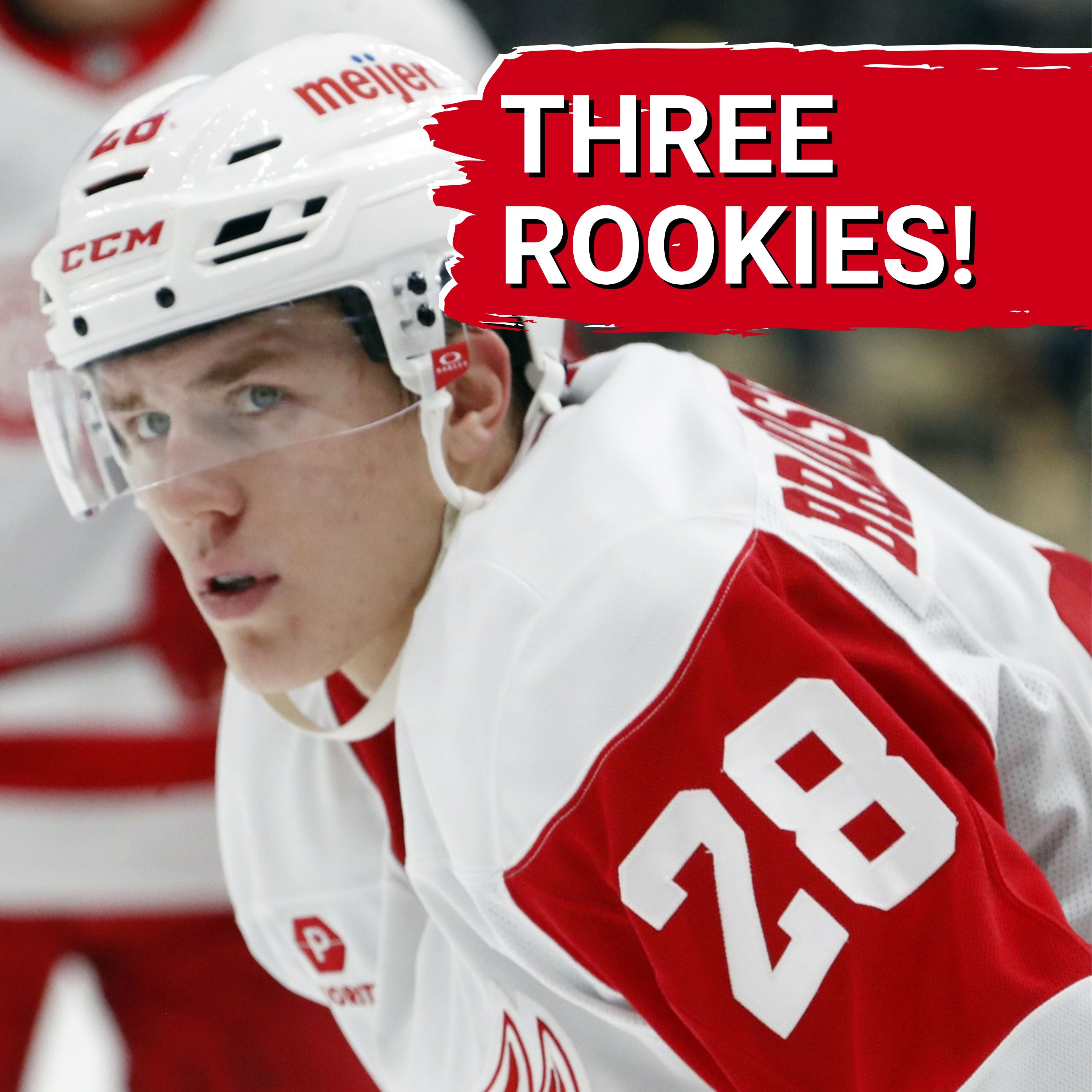 AXEL SANDIN-PELLIKKA, MICHAEL BRANDSEGG-NYGARD AND EMMITT FINNIE ARE DETROIT RED WINGS