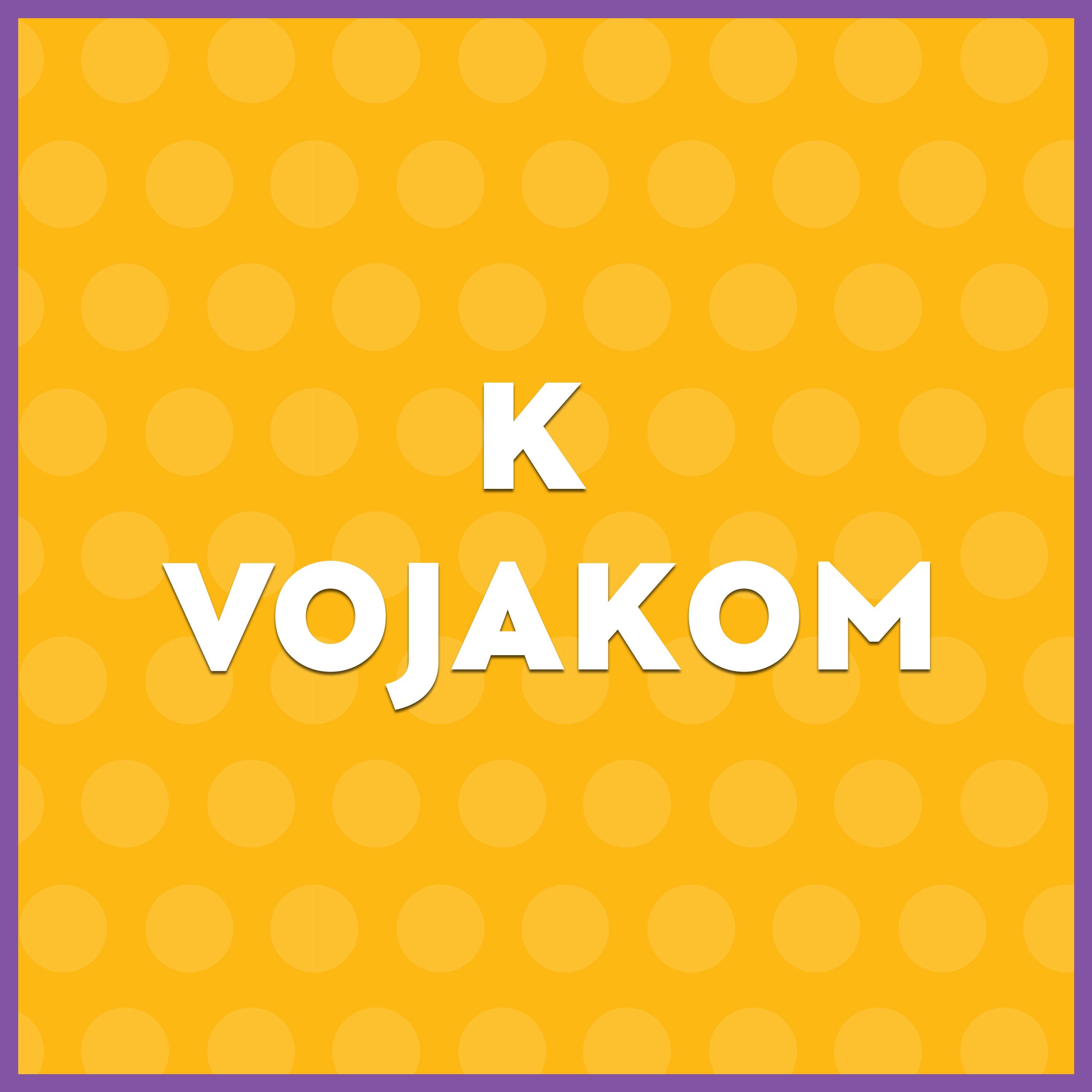 Oddaja Reflektor | K vojakom | Blaž Režek in Matic Vidic episode artwork