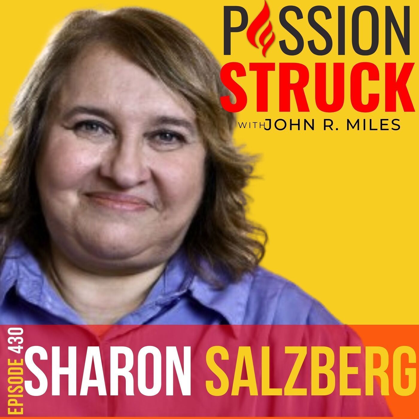Sharon Salzberg on Finding Balance, Strength and Equanimity EP 430 episode artwork