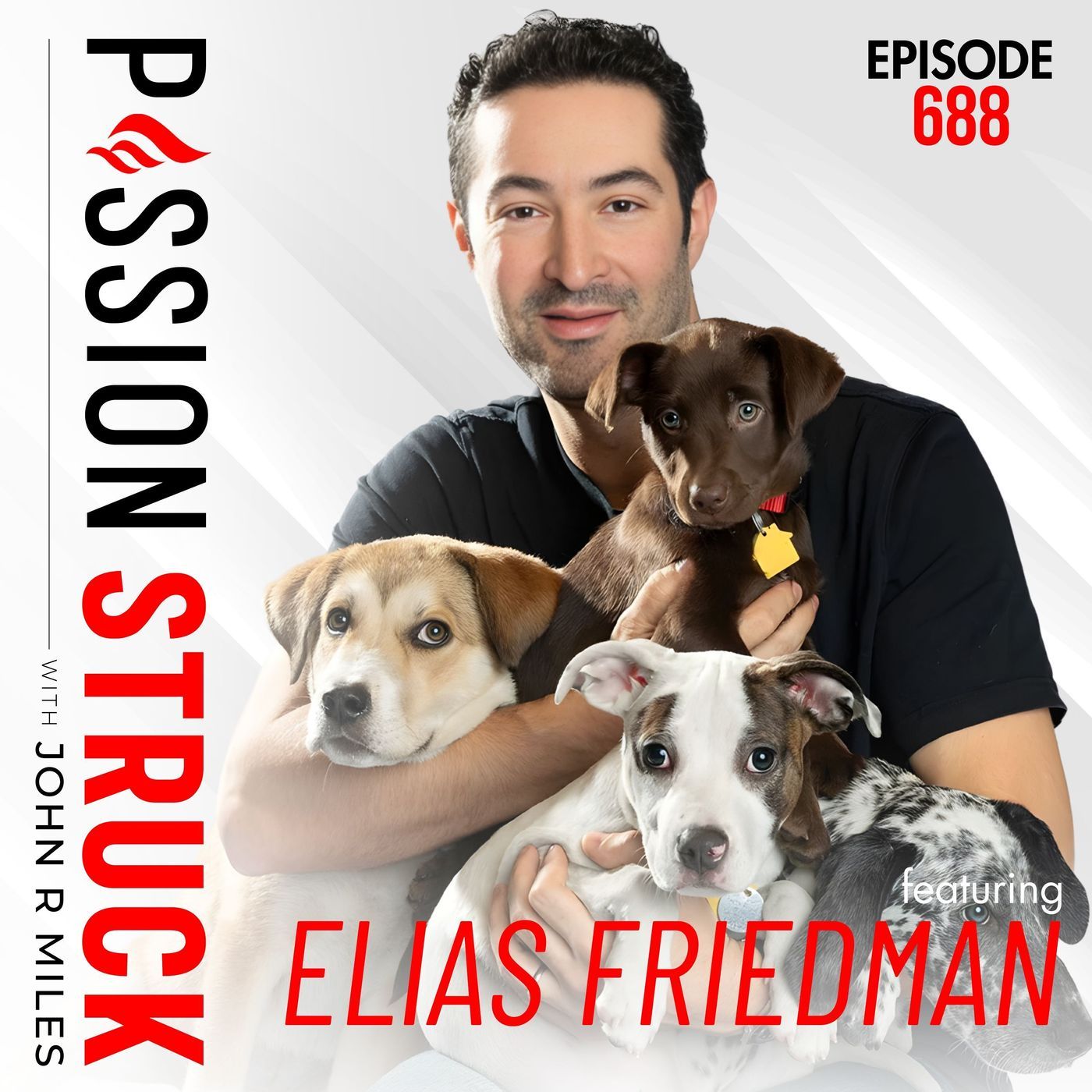 Elias Weiss Friedman (The Dogist) on How Dogs Help Us To Matter More | EP 688 episode artwork