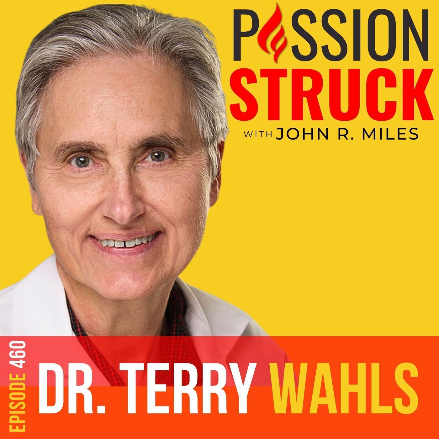 Dr. Terry Wahls on Conquering MS: Nutrition for a Vibrant Life EP 460 episode artwork
