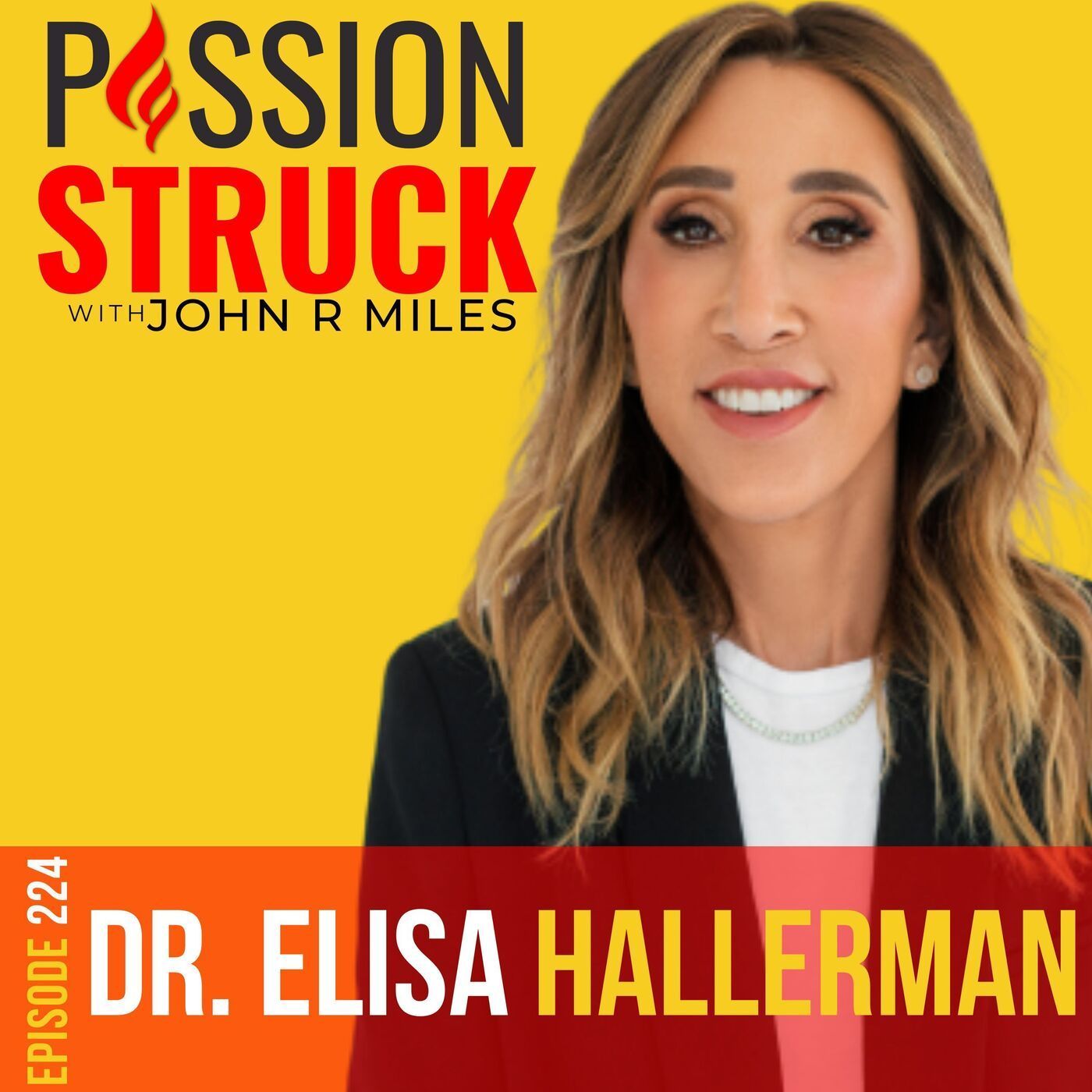 Dr. Elisa Hallerman on How to Find Meaning through Soul Work EP 224 episode artwork