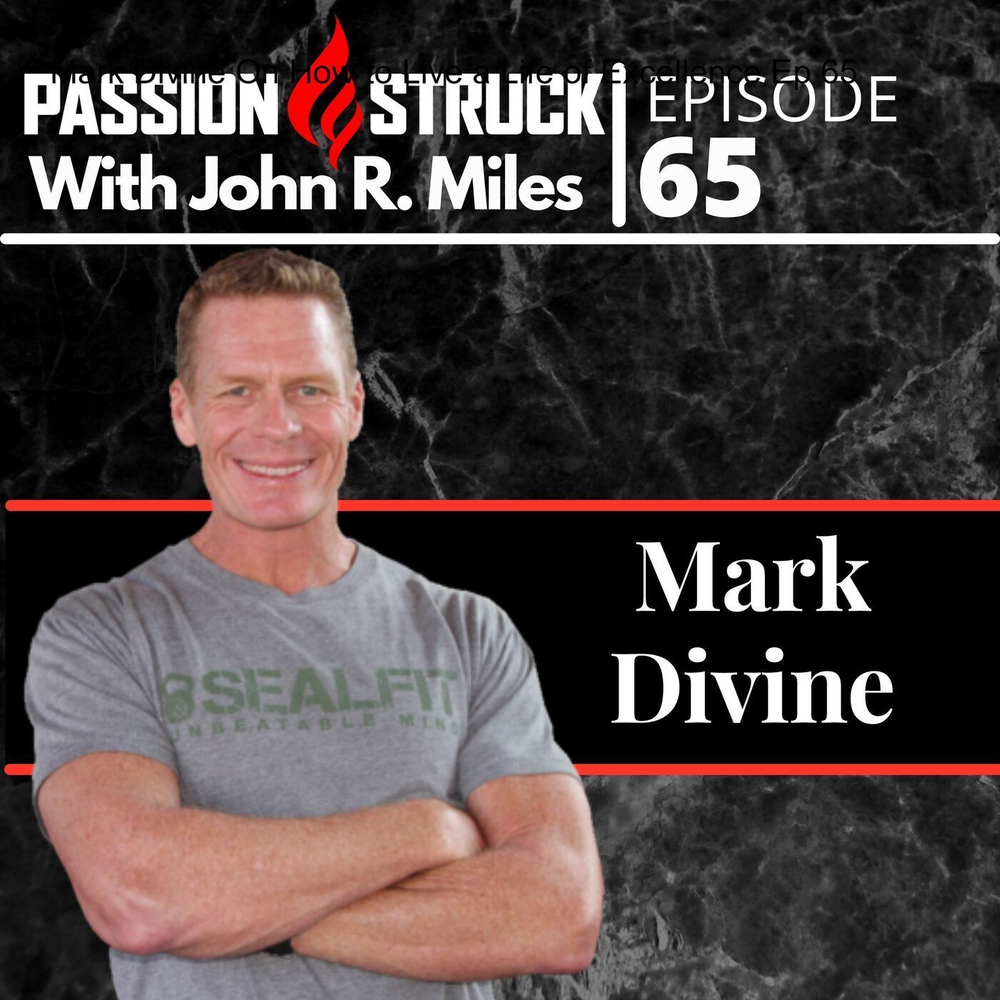 Mark Divine On How to Live a Life of Excellence EP 65 episode artwork