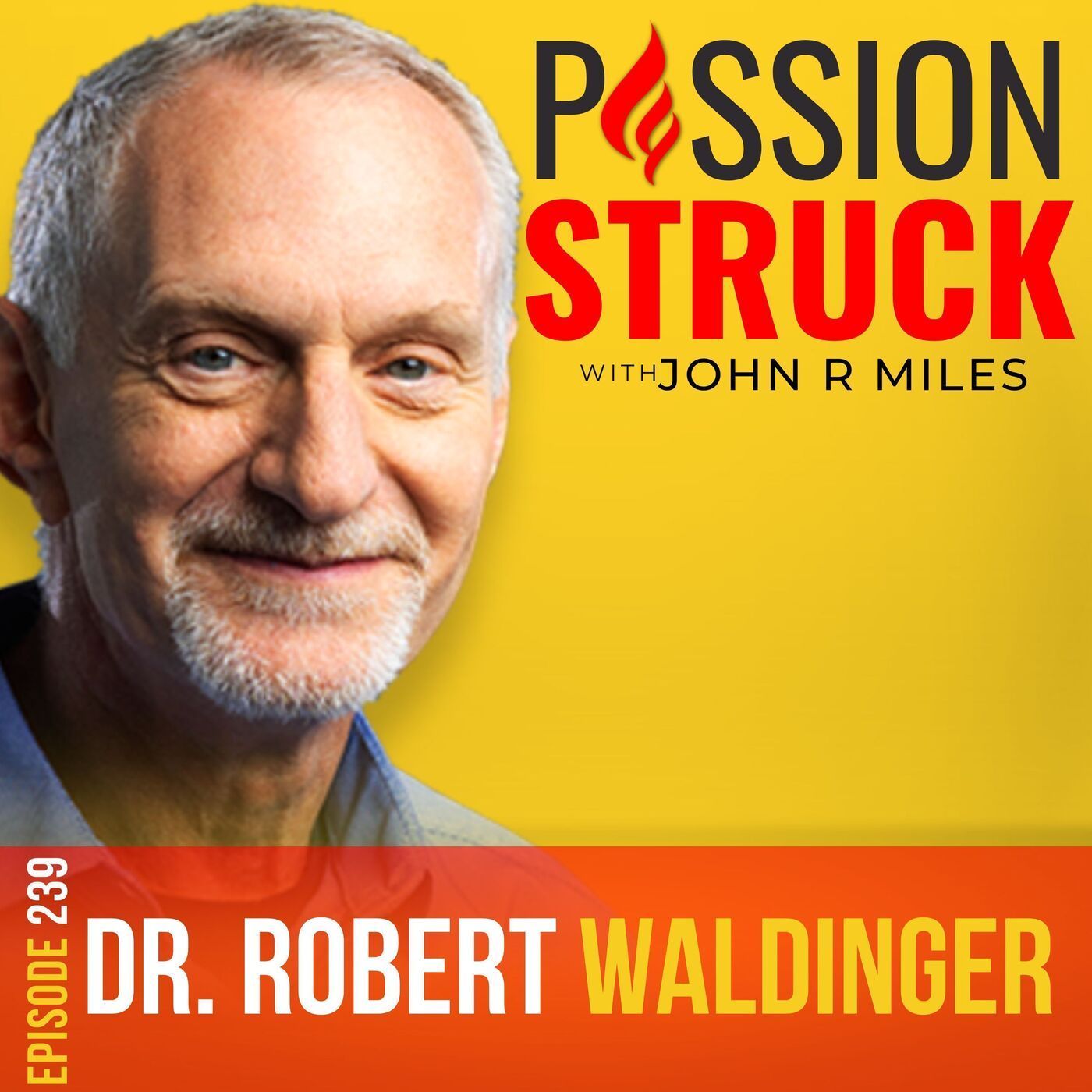 Robert Waldinger on What Are the Keys to Living a Good Life EP 239 episode artwork