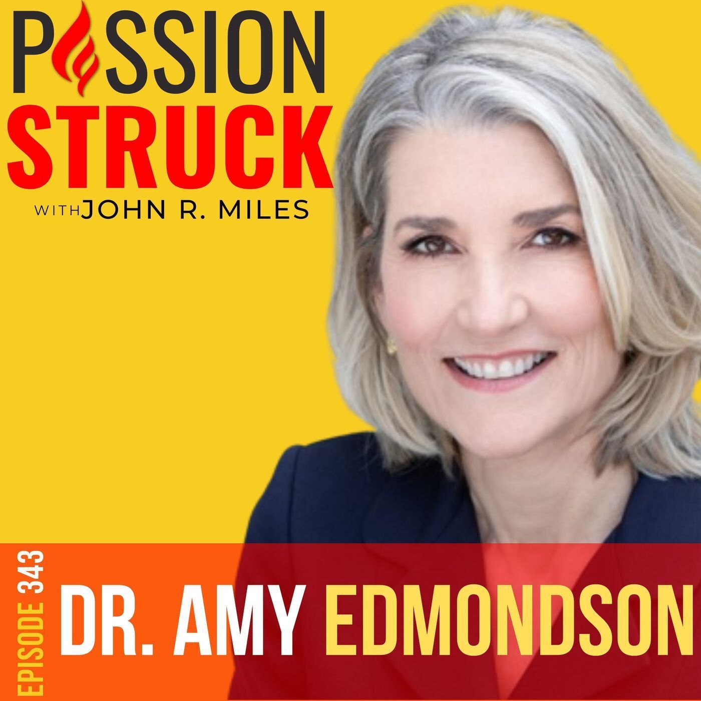 Dr. Amy Edmondson on Why Failure Is the Key to Success EP 343 episode artwork