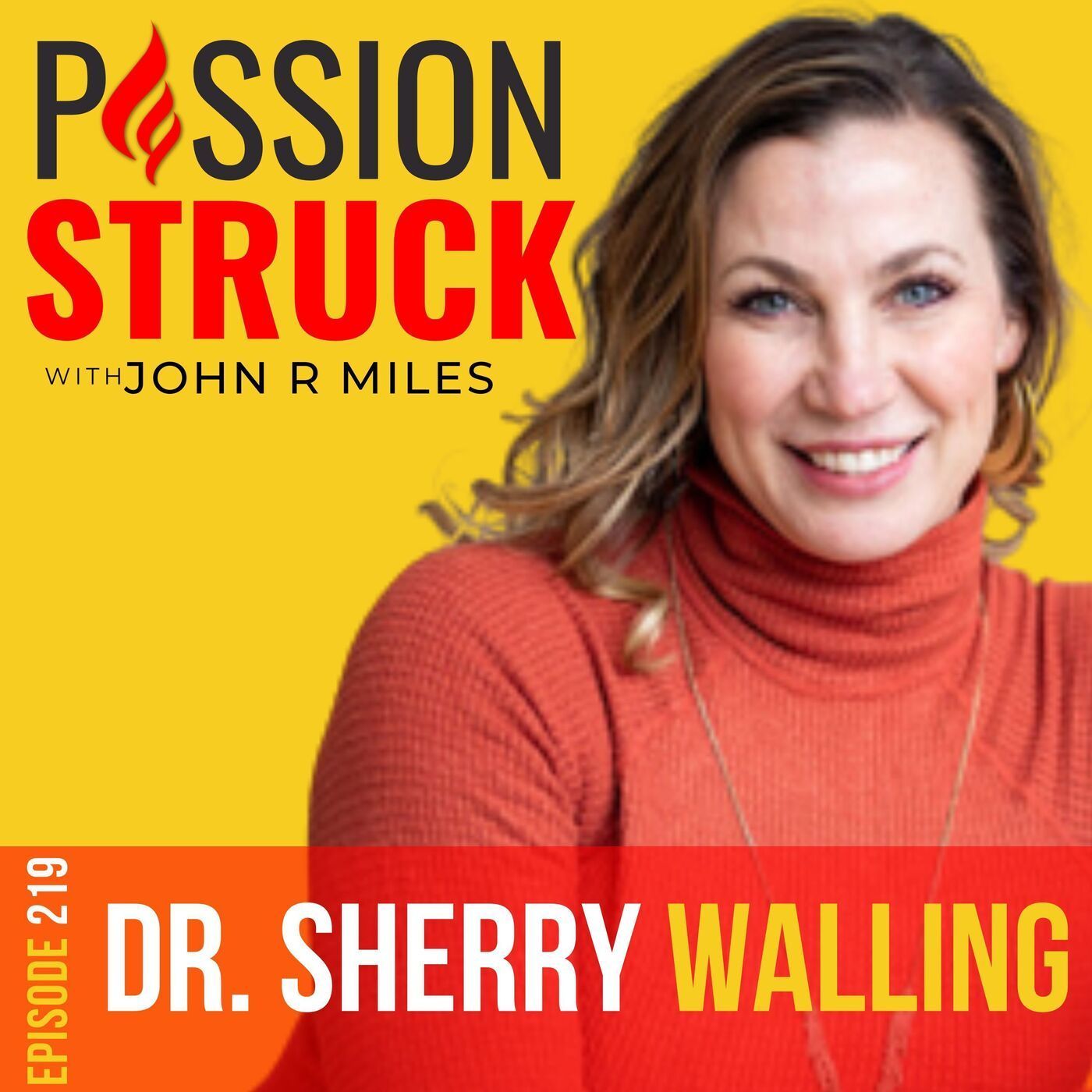 Dr. Sherry Walling on How to Engage With Grief and Find Hope After Loss EP 219 episode artwork