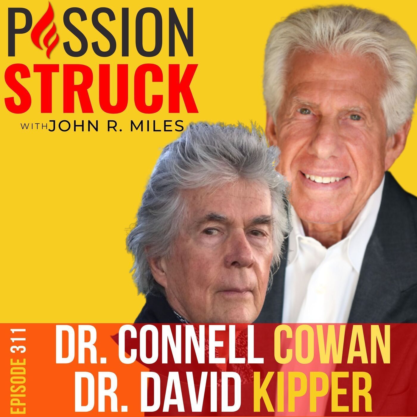 Dr. Connell Cowan and Dr. David Kipper on Overriding Brain Chemistry and Behavior Patterns EP 311 episode artwork