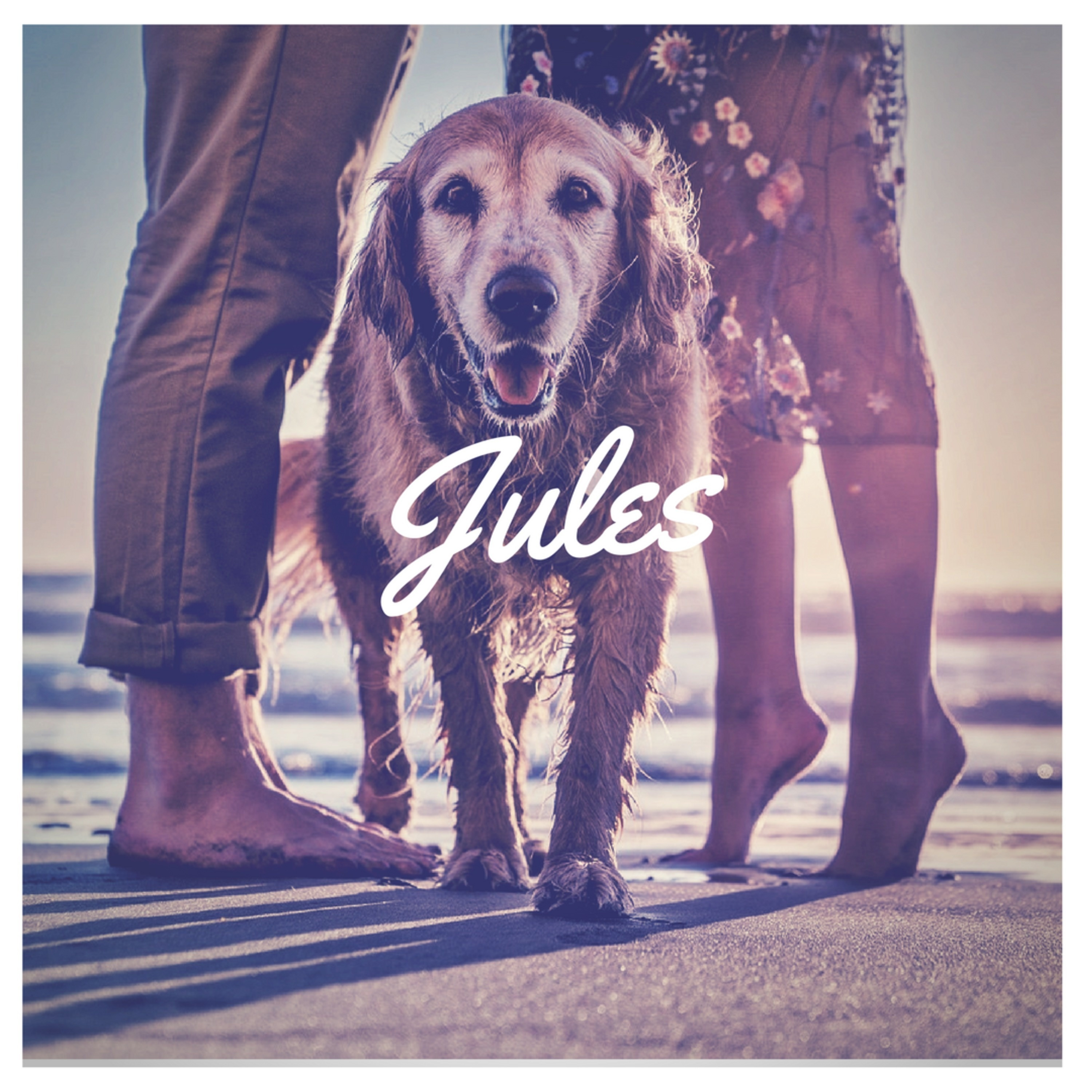 cover of episode 20: Jules