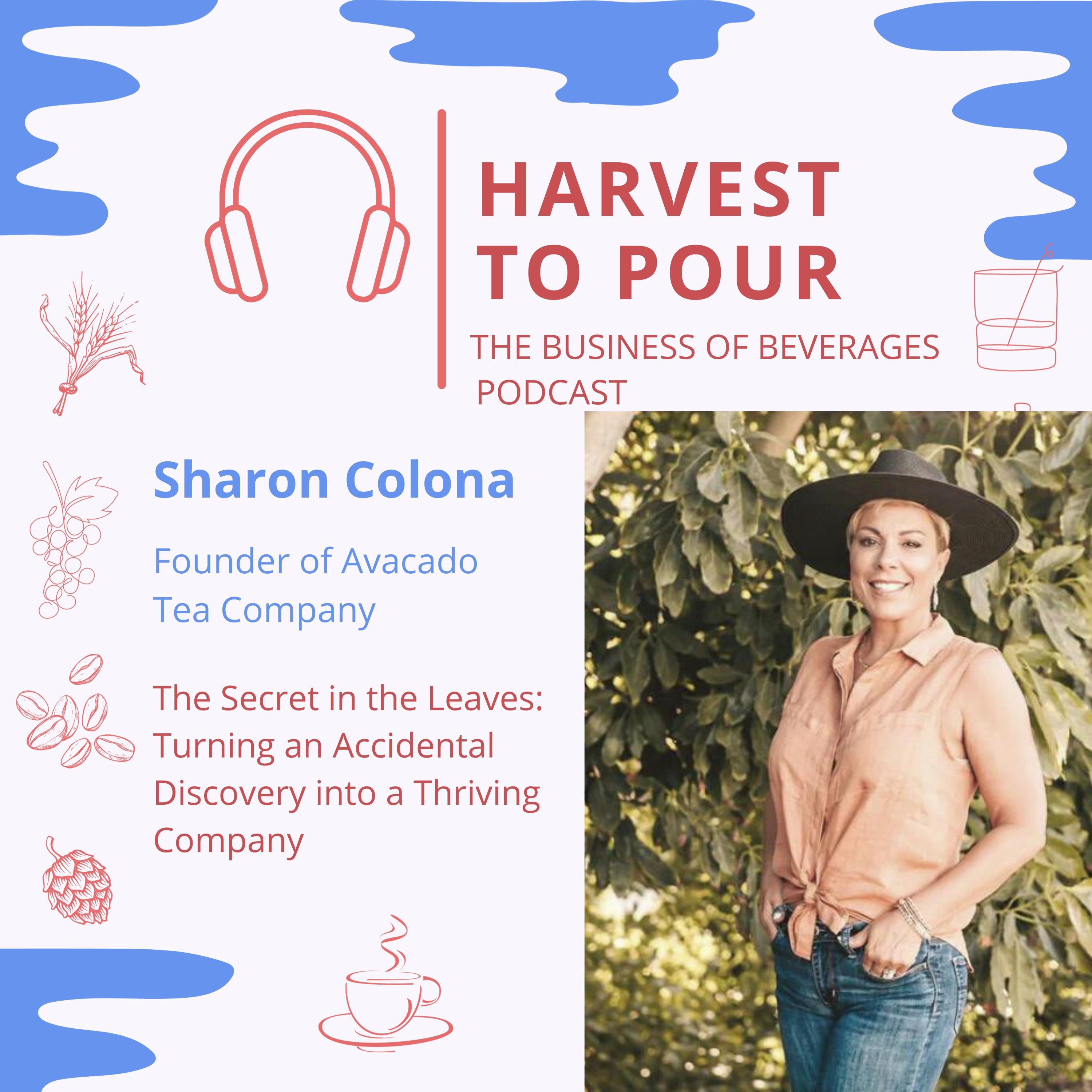 Sharon Colona of Avocado Tea Company: The Secret in the Leaves: Turning an Accidental Discovery into a Thriving Company episode artwork